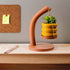 3" Hanging Bubble With Tray & Holder - My American Goods