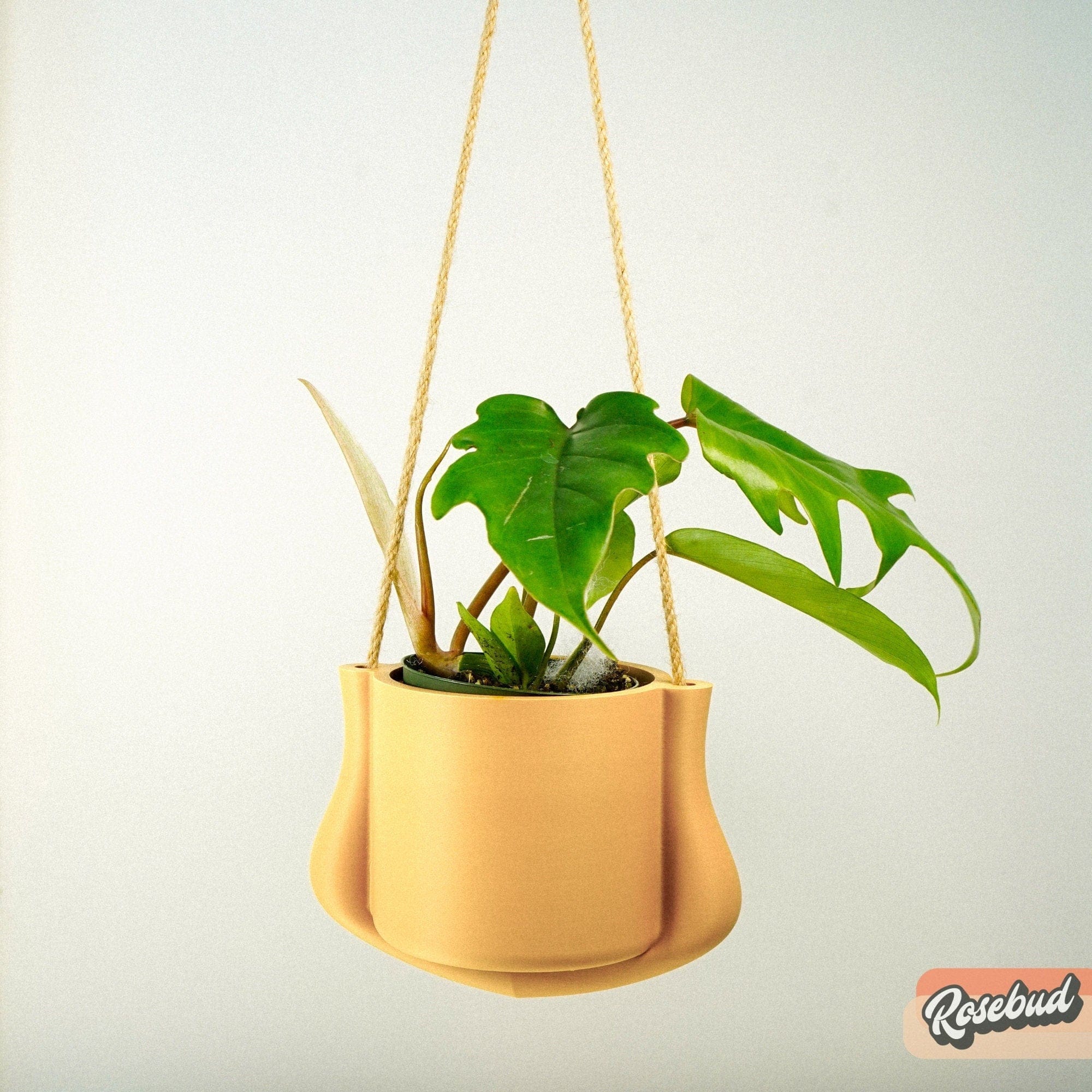 Rosebud HomeGoods Planter Hanging Planter - The Elysian
