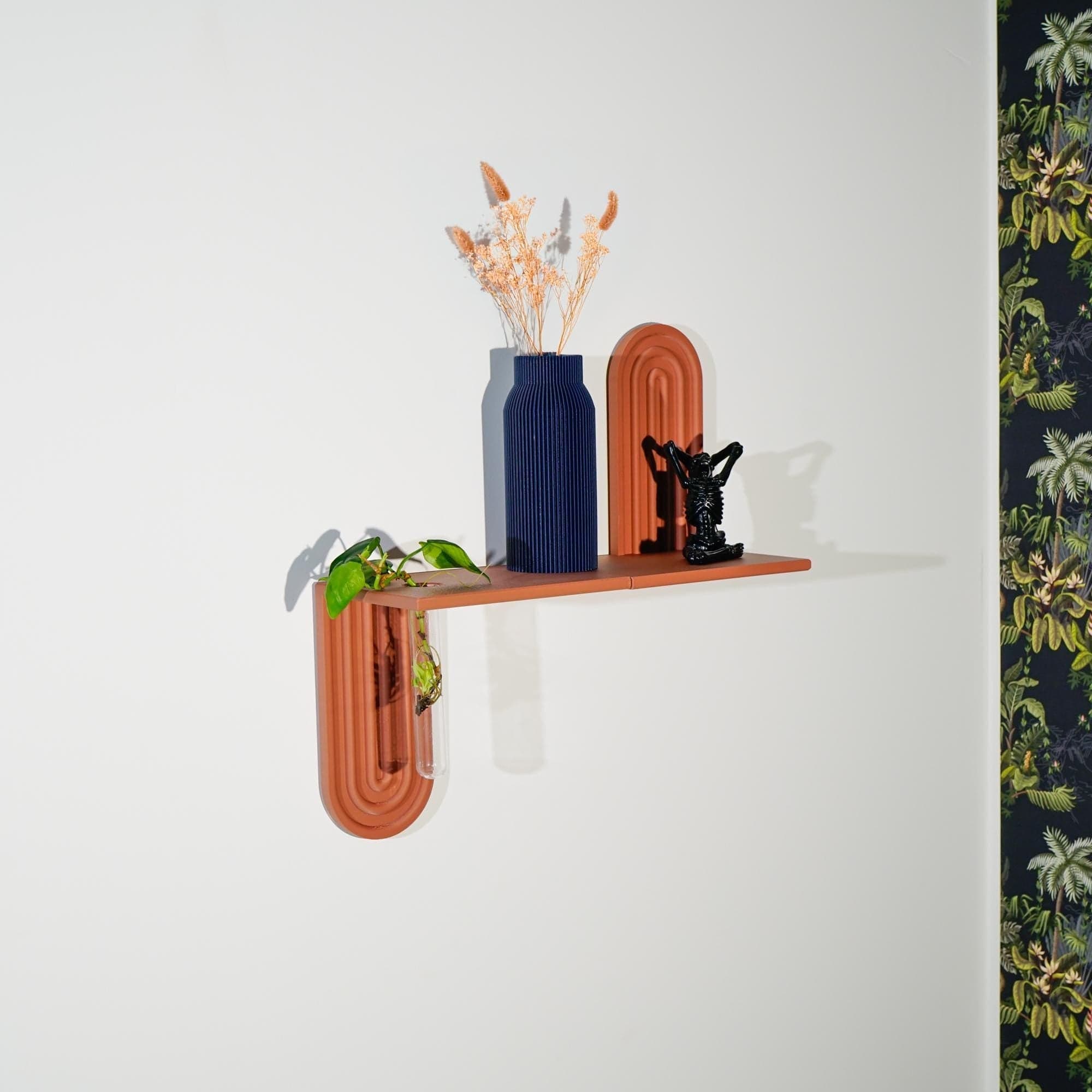 Modern Floating Wall Shelf, Unique Arch Oval Home Decor, 3D Printed Propagation or Reed Diffuser Shelf, Wall Shelf Catchall, Entryway Decor - My American Goods