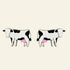 Cow Studs - 2 Colors Available - My American Goods