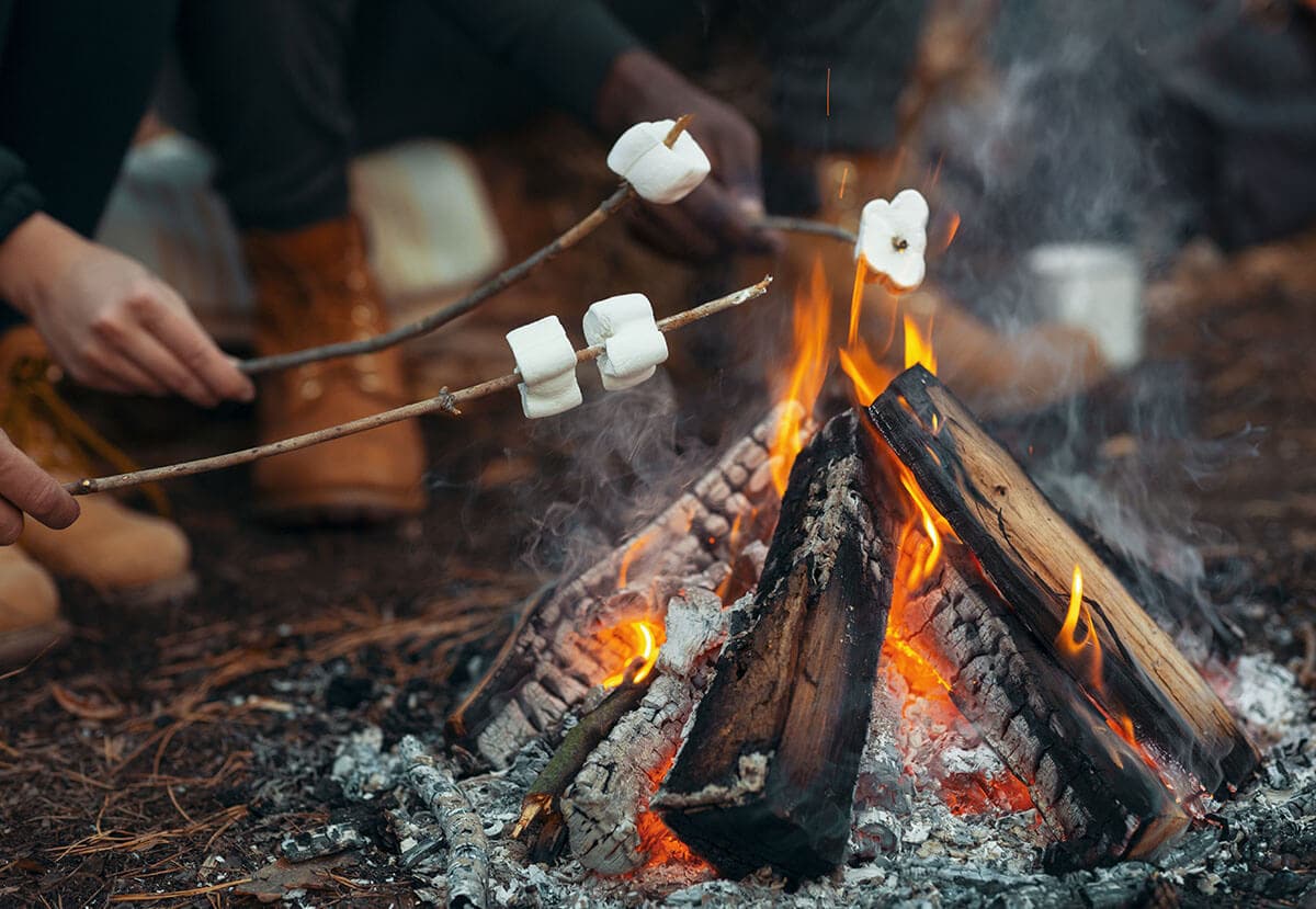 Campfire & Fireflies Chai Soap Bar