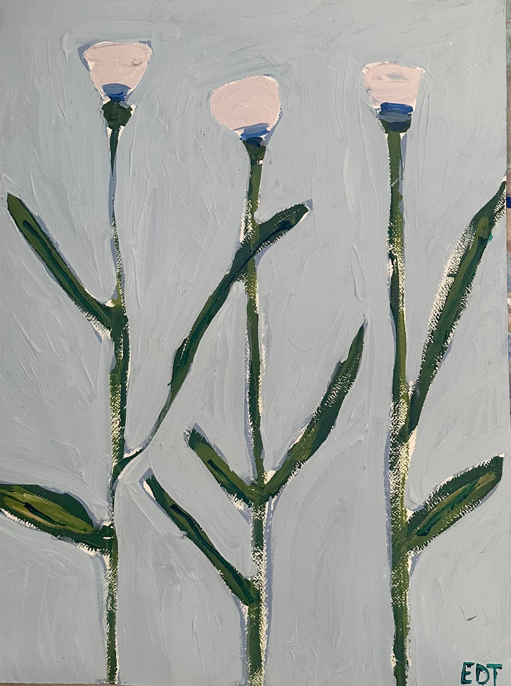 Diana Tulips - My American Goods