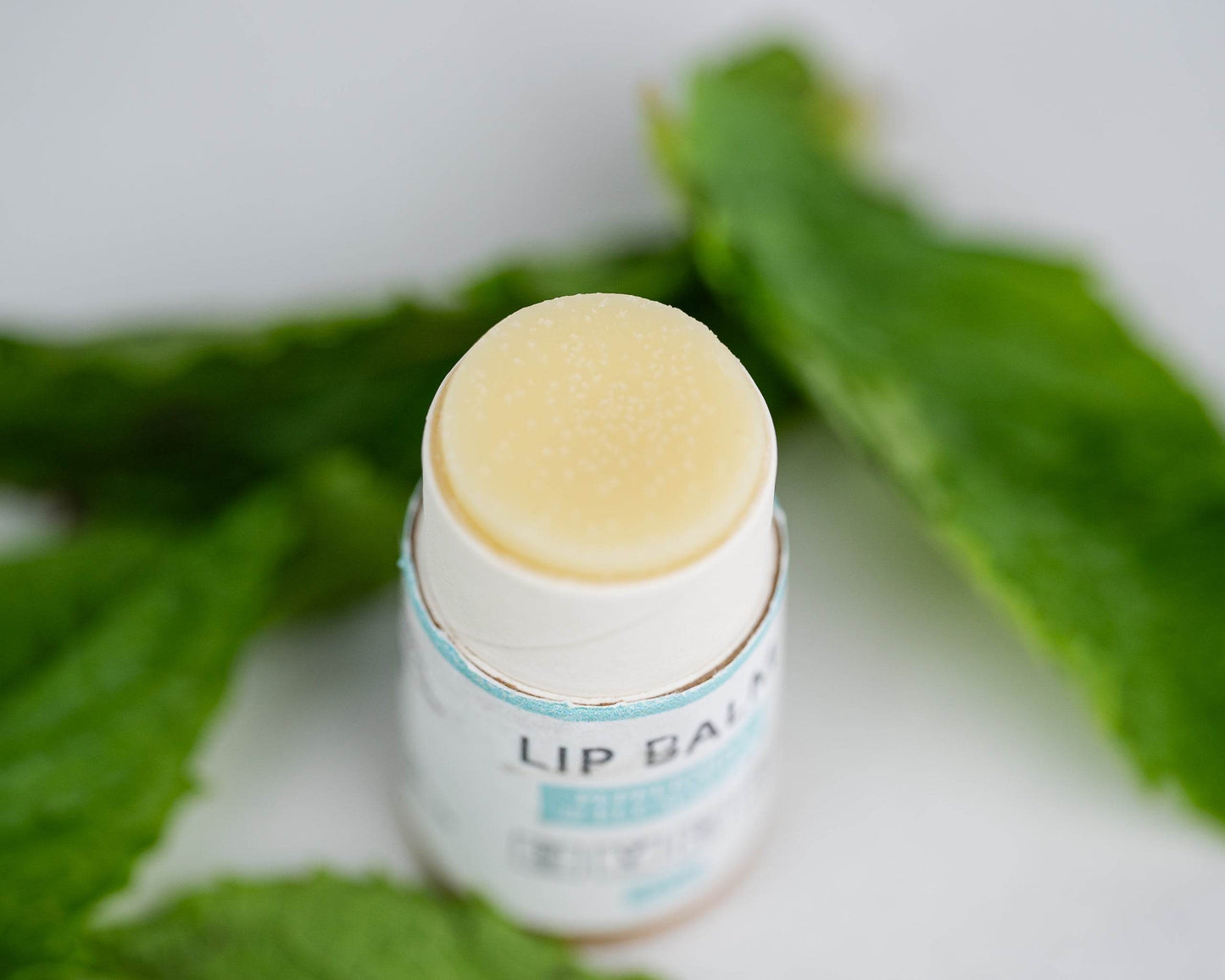 Lip Balm Bundle (5-Pack) - My American Goods