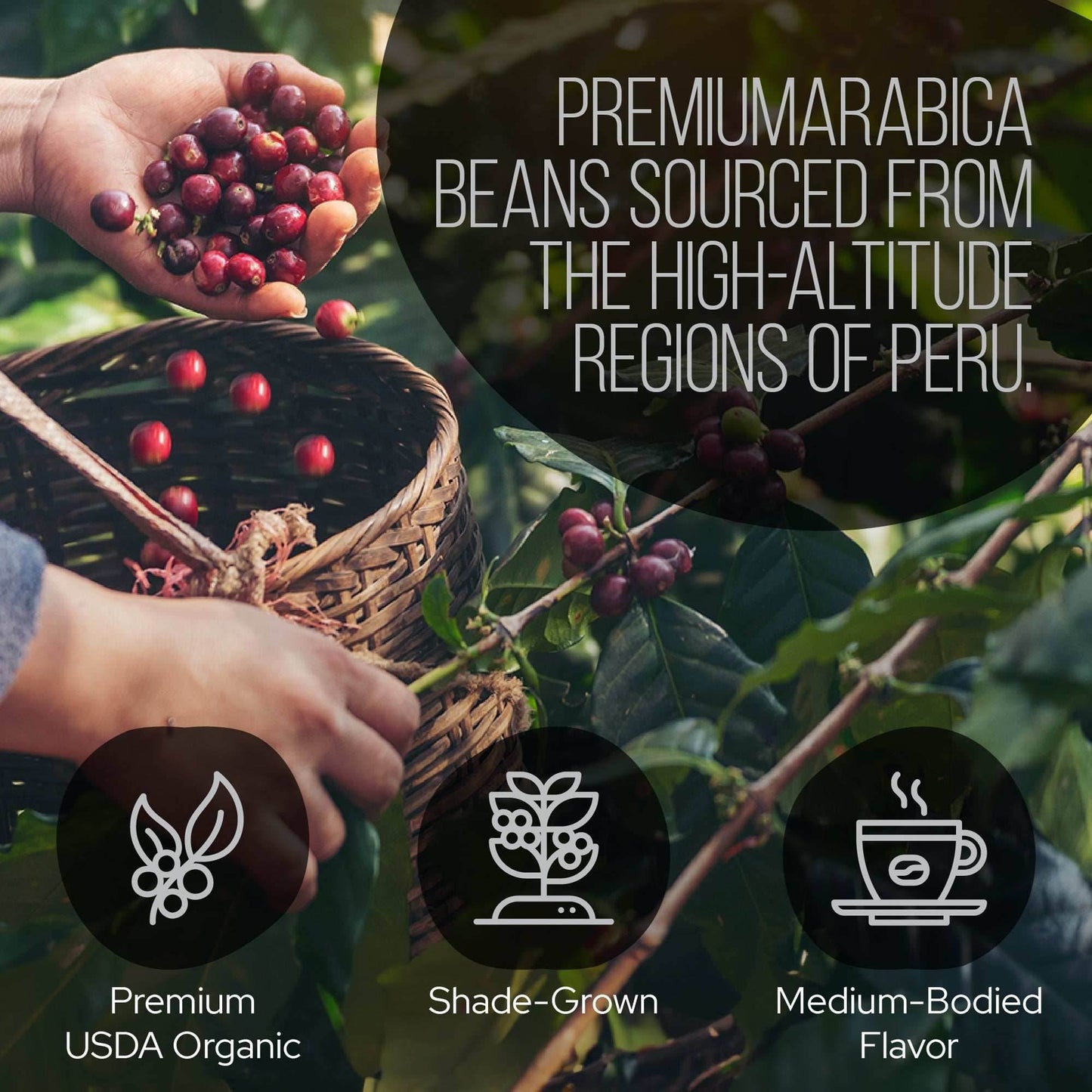 DECAF Peruvian Gold Ground Mushroom Coffee - My American Goods
