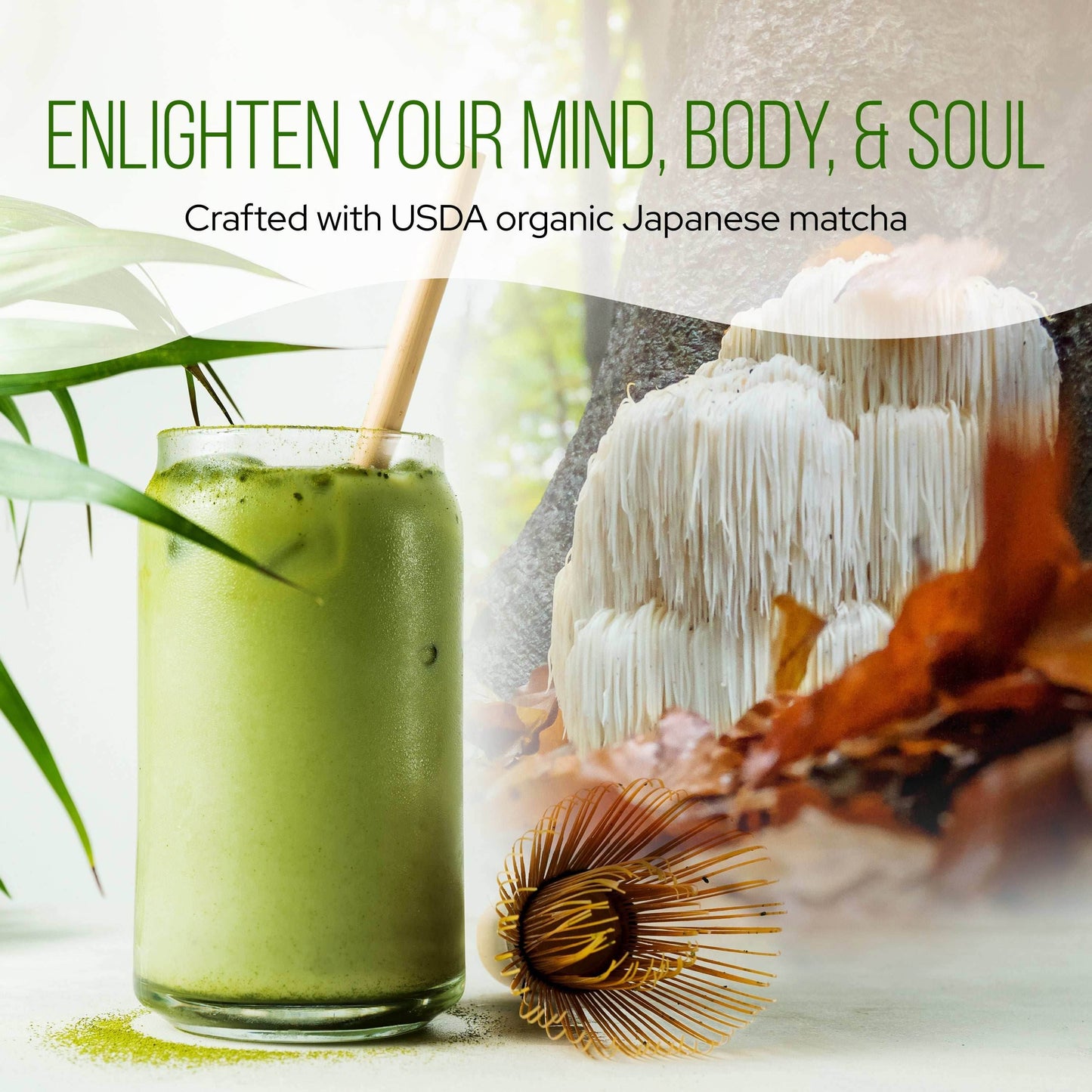 Matcha Green Tea with Lion's Mane - My American Goods