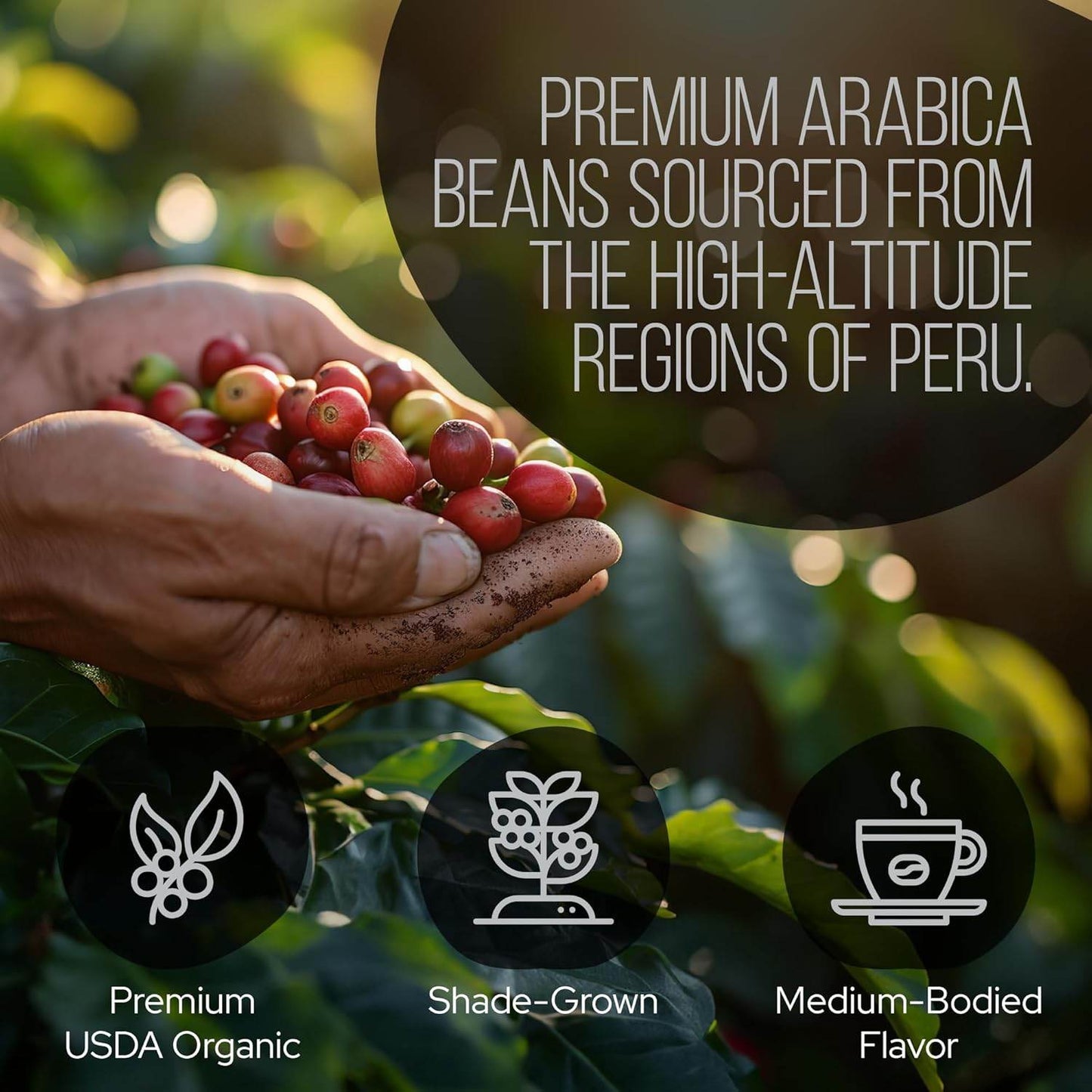 Peruvian Dark Ground RESERVE Mushroom Coffee - My American Goods