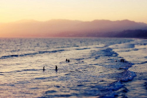 Los Angeles - My American Goods