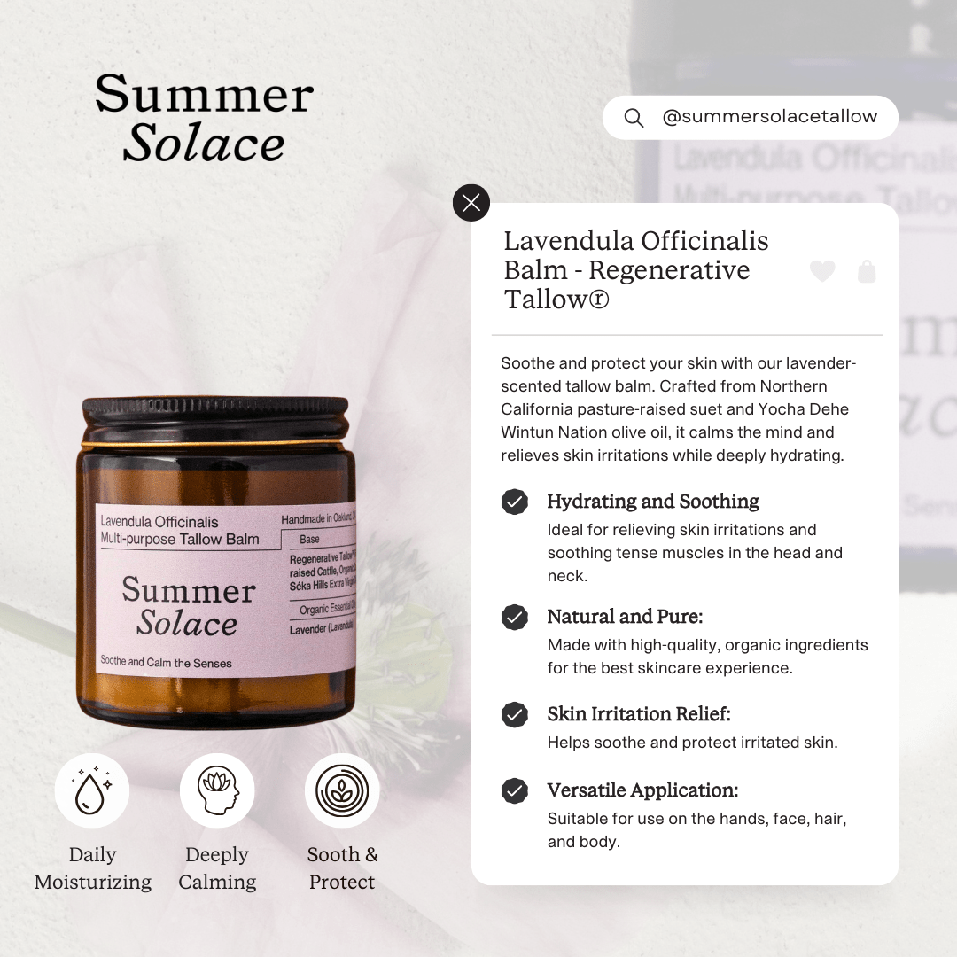 Summer Solace Tallow Tallow Balm Lavendula Balm – Calming Floral Blend | Lavender & Golden Champa