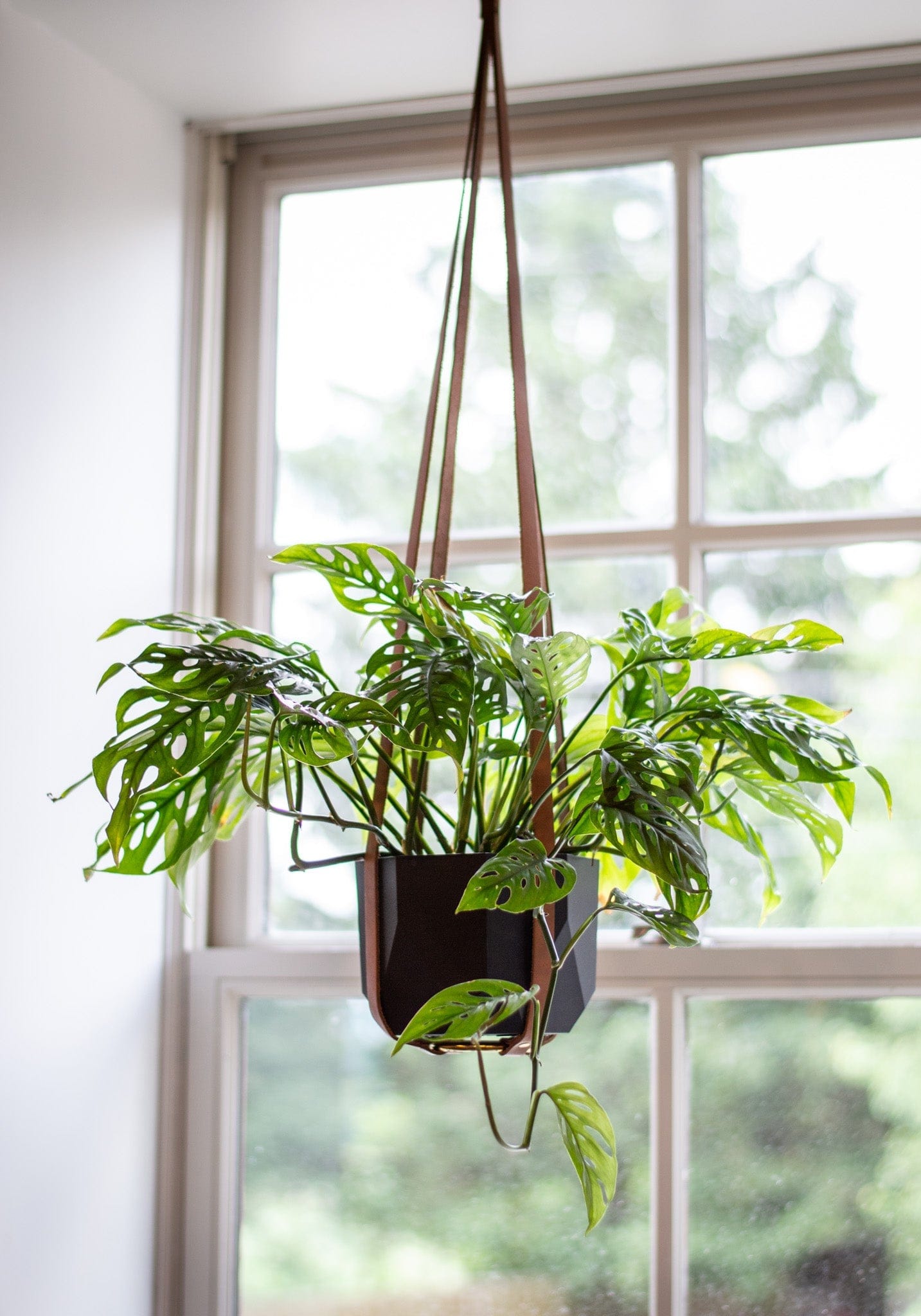 Urban Southern Leather Plant Hanger