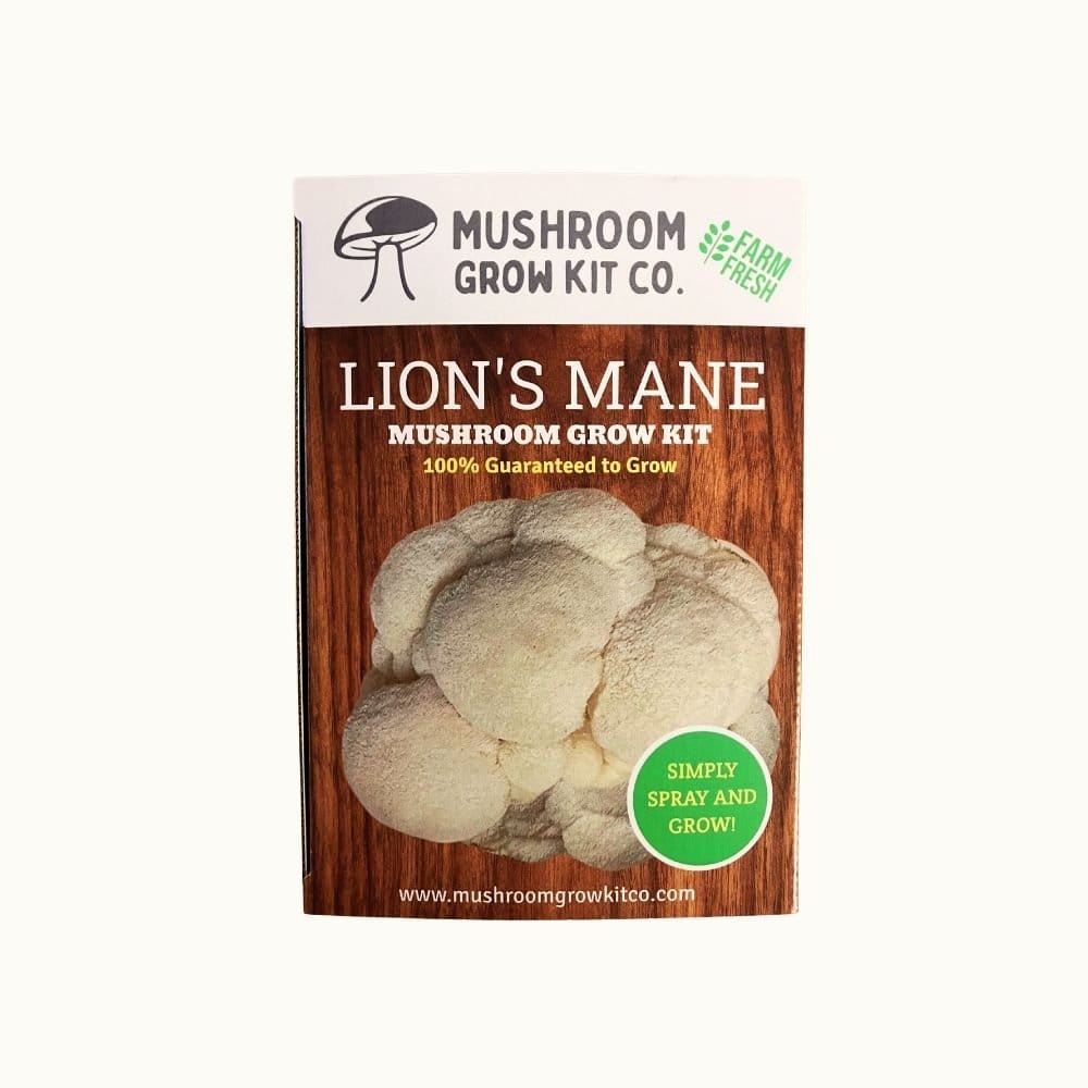 Mushroom Grow Kit Co. Lion&
