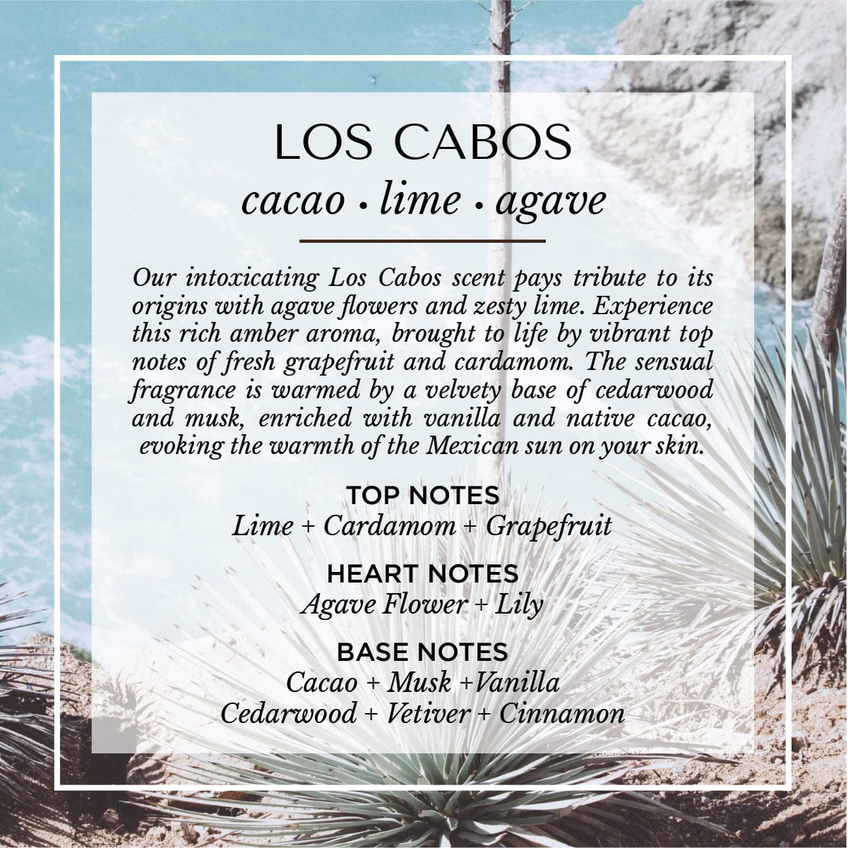 Soleil Roller Parfum - My American Goods