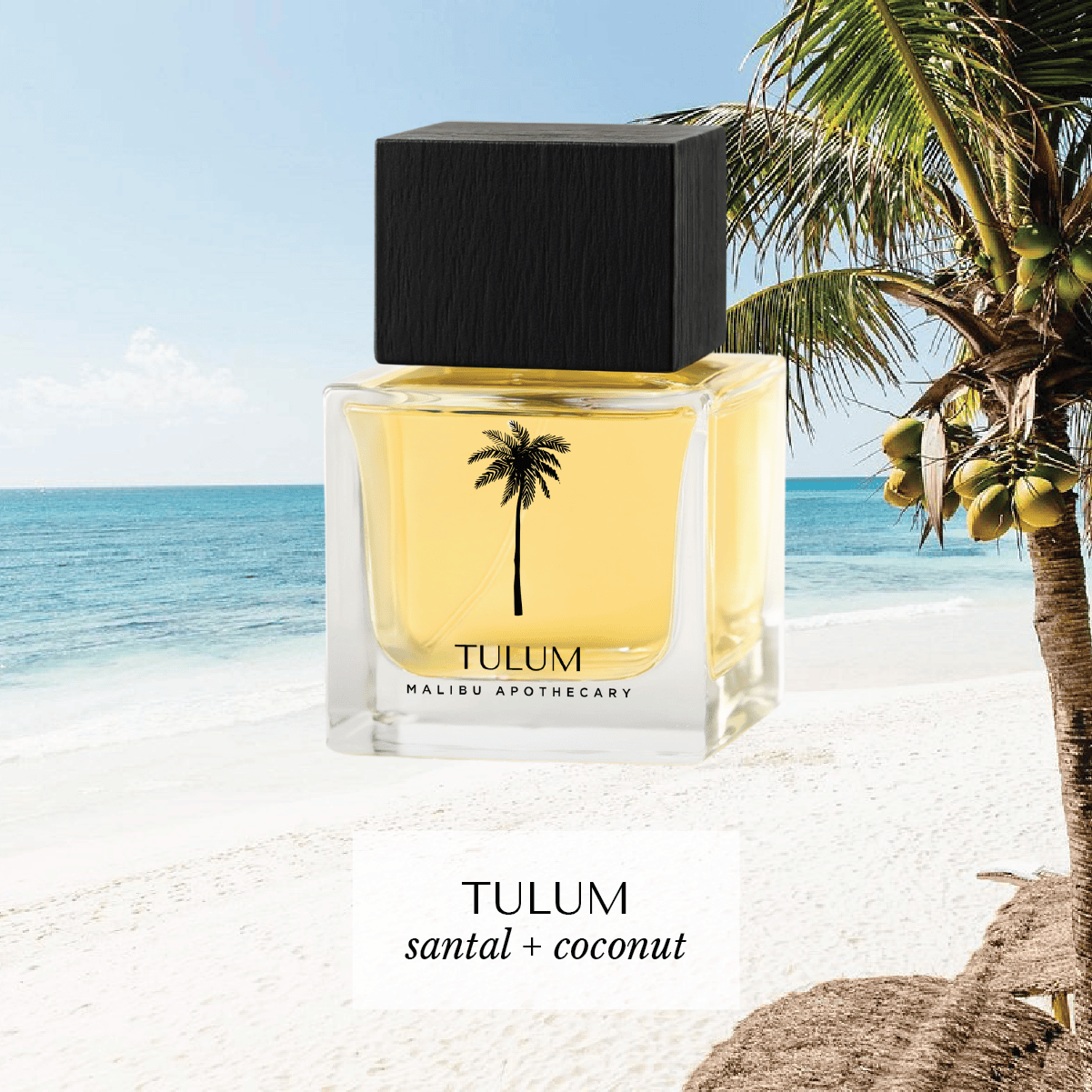 Malibu Apothecary Eau de Parfum 50mL | 1.7fl oz - My American Goods