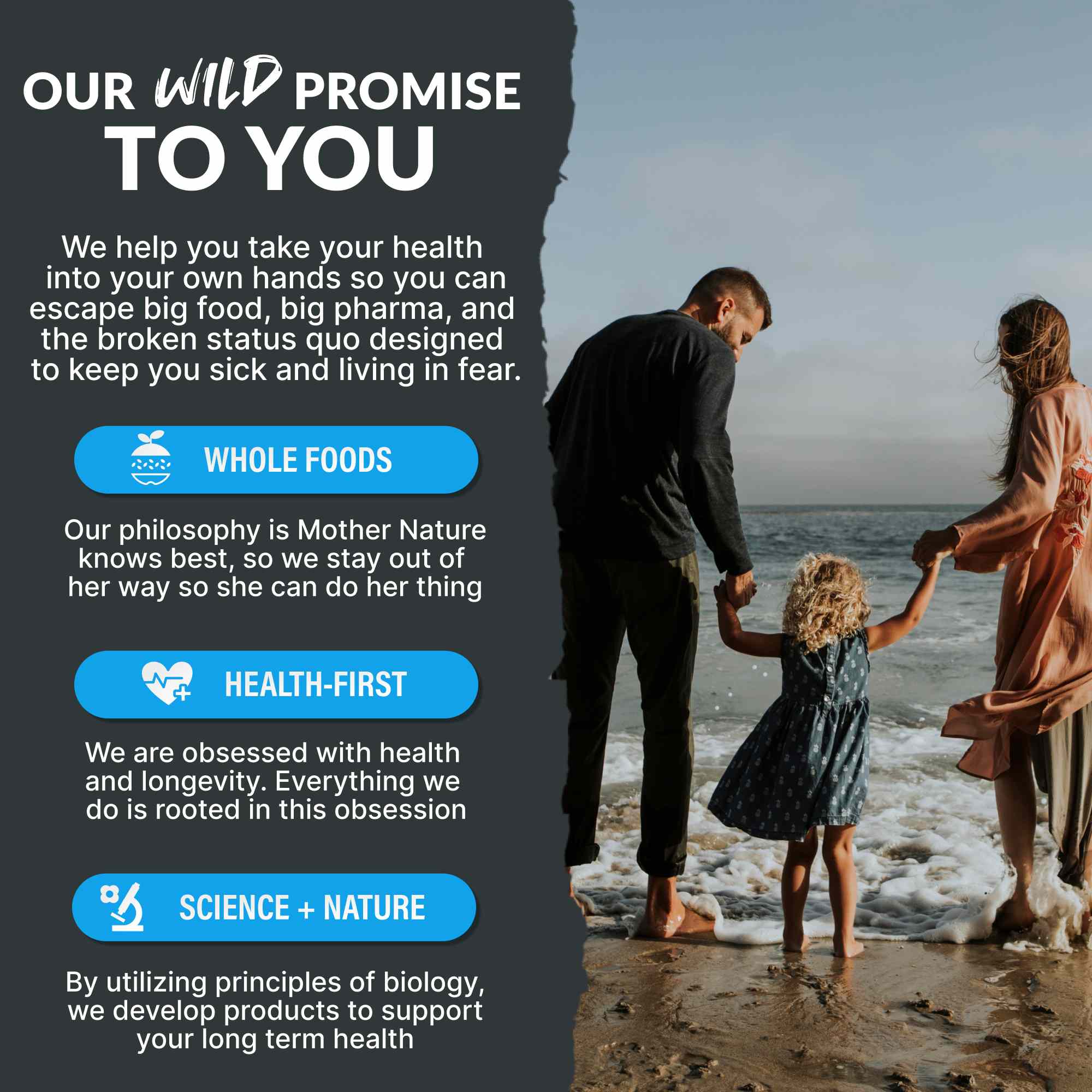 Methylated Whole Food Multivitamin - My American Goods