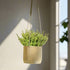 Mid Century Ribbed Hanging Plant Pots - My American Goods
