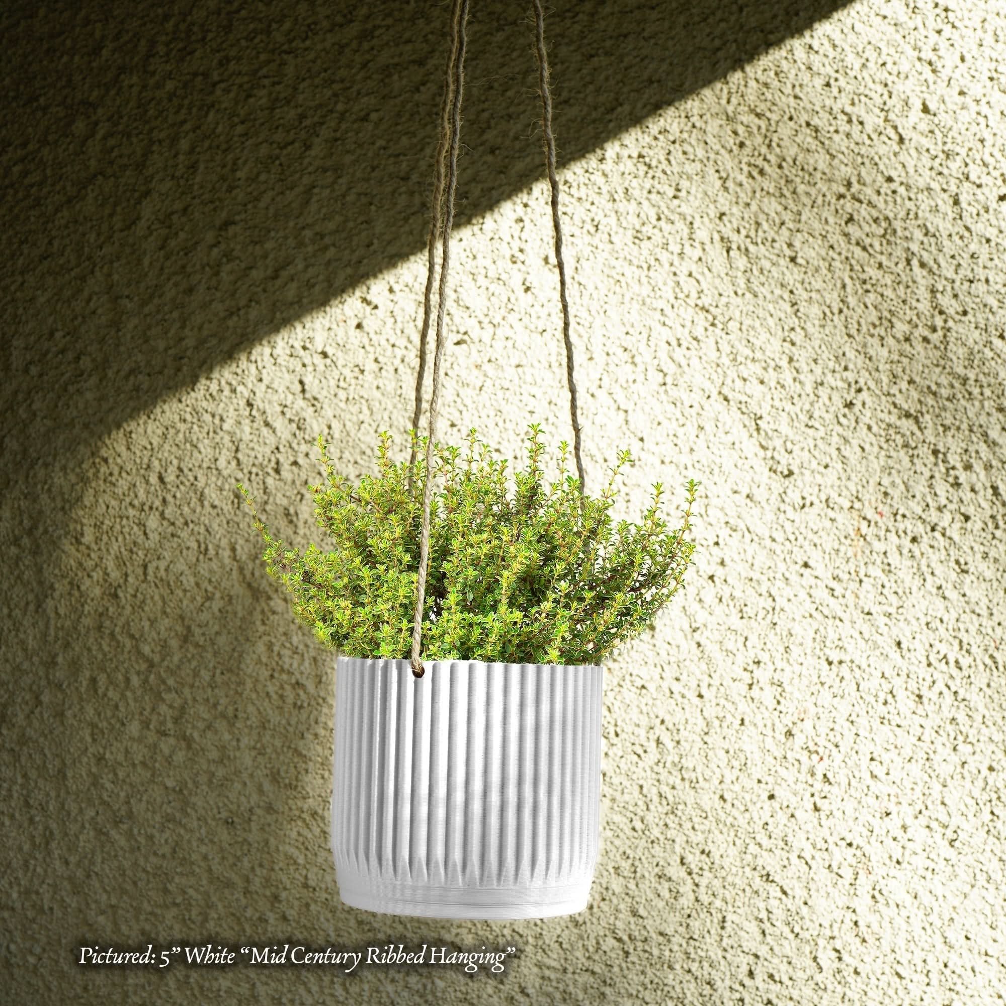 Rosebud HomeGoods Hanging Planter White / With Drainage / 4” Mid Century Ribbed Hanging Plant Pots