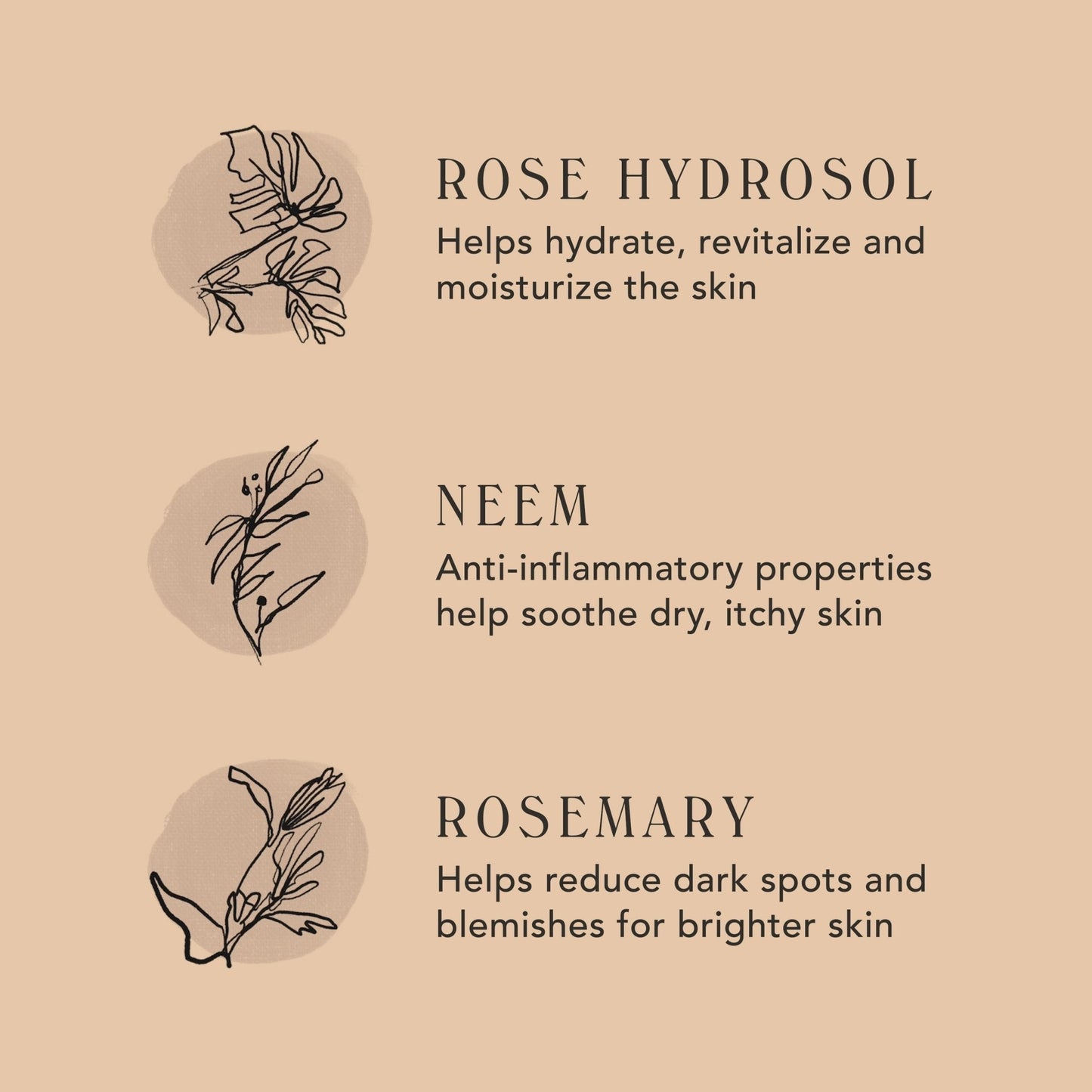 ROSEWATER CREAM