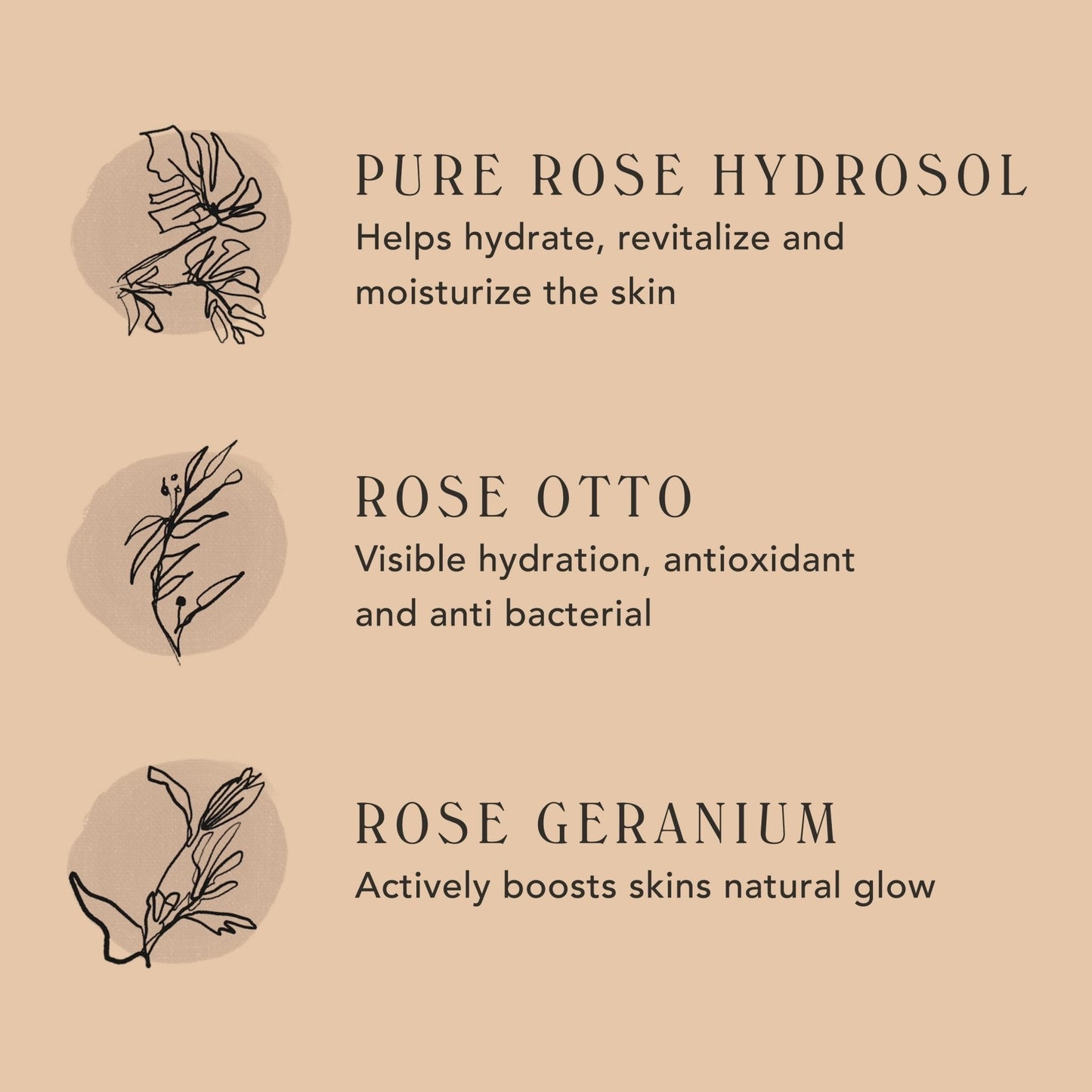 SOFIA - Luminous Rose Mist
