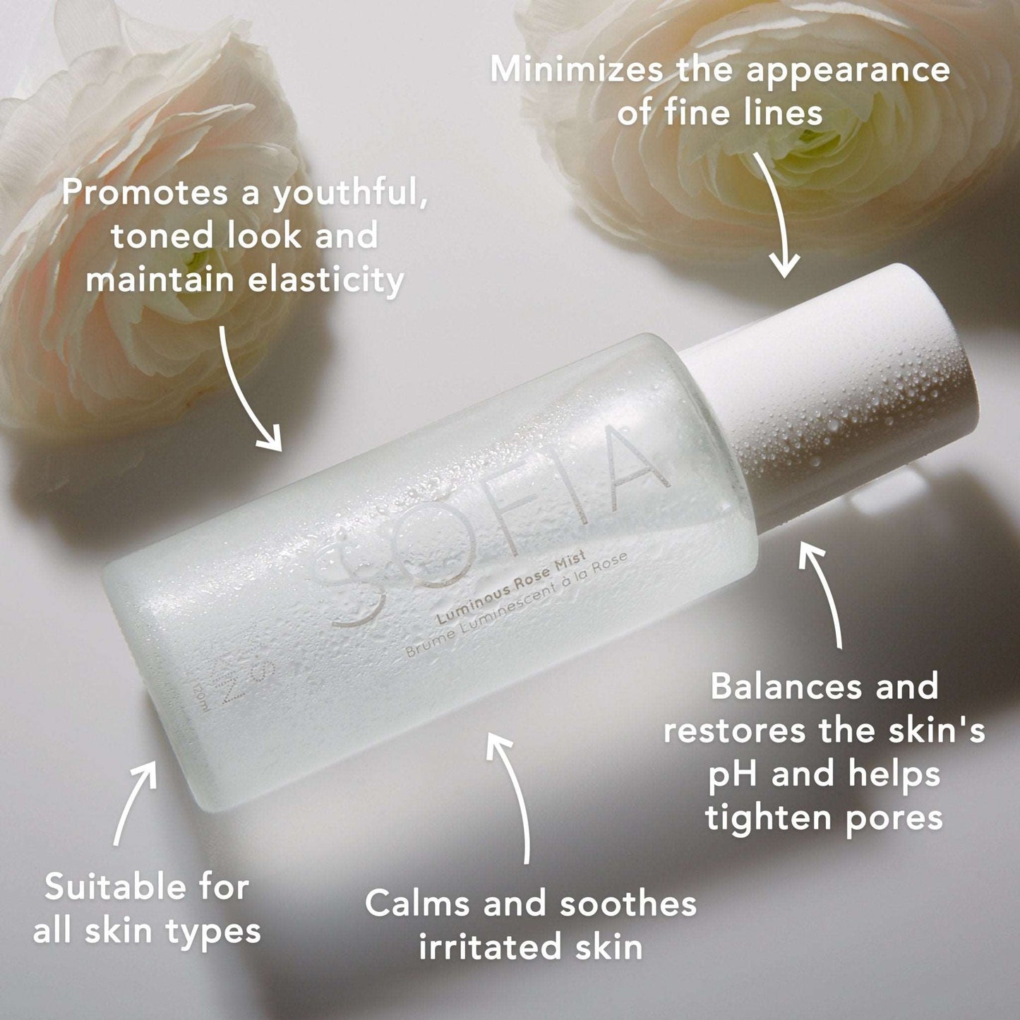 SOFIA - Luminous Rose Mist