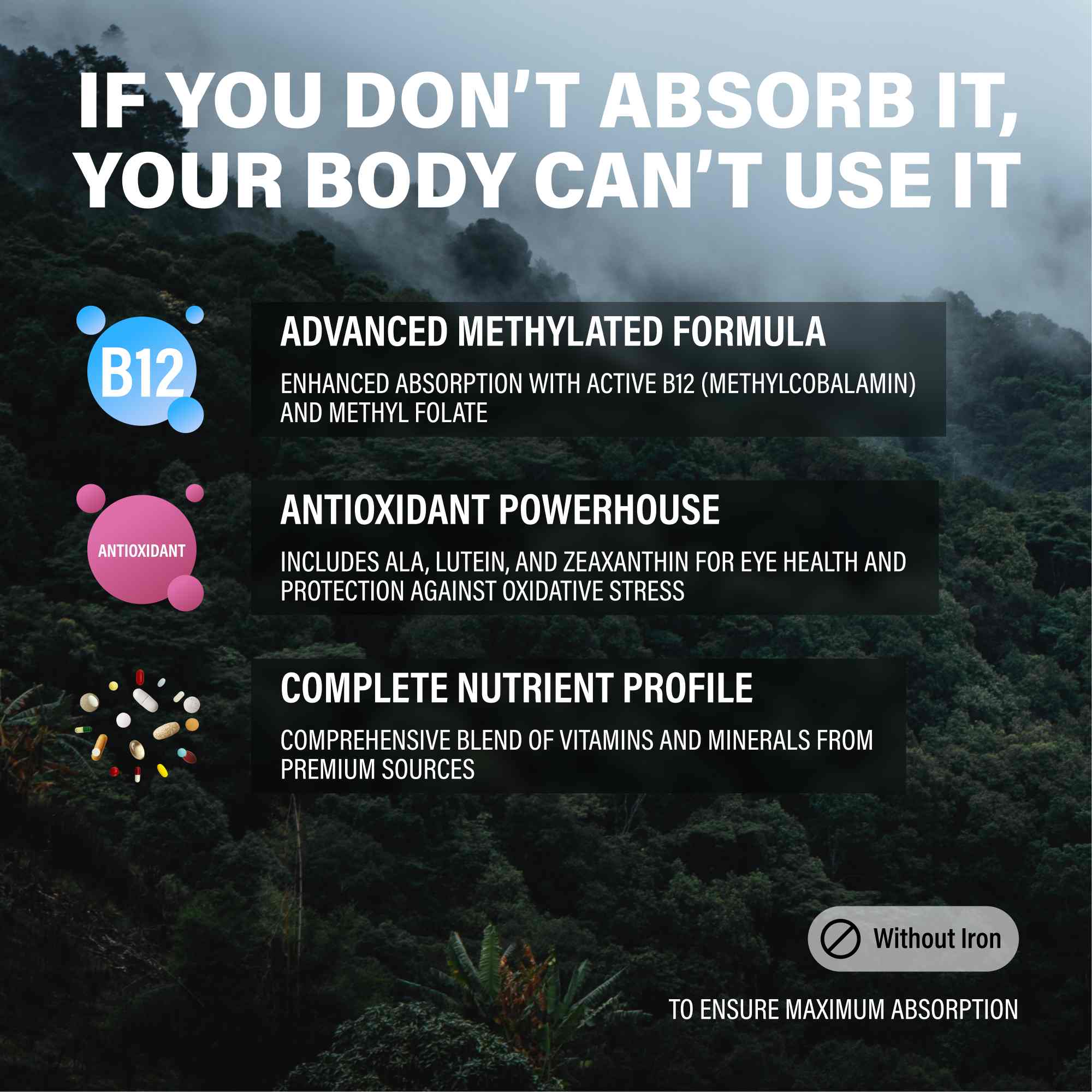 Methylated Whole Food Multivitamin - My American Goods