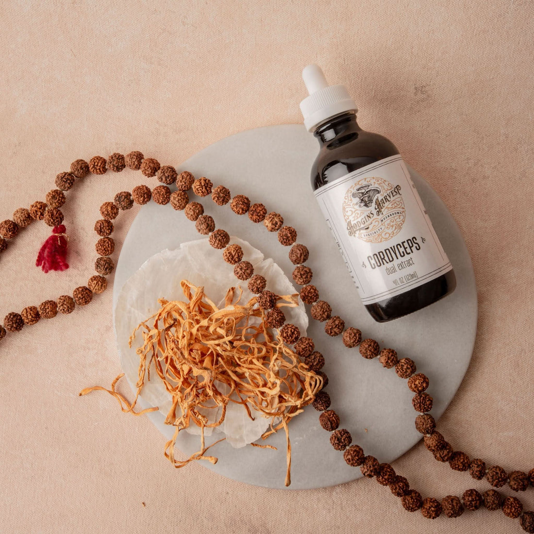 Cordyceps Dual Extract Tincture - My American Goods