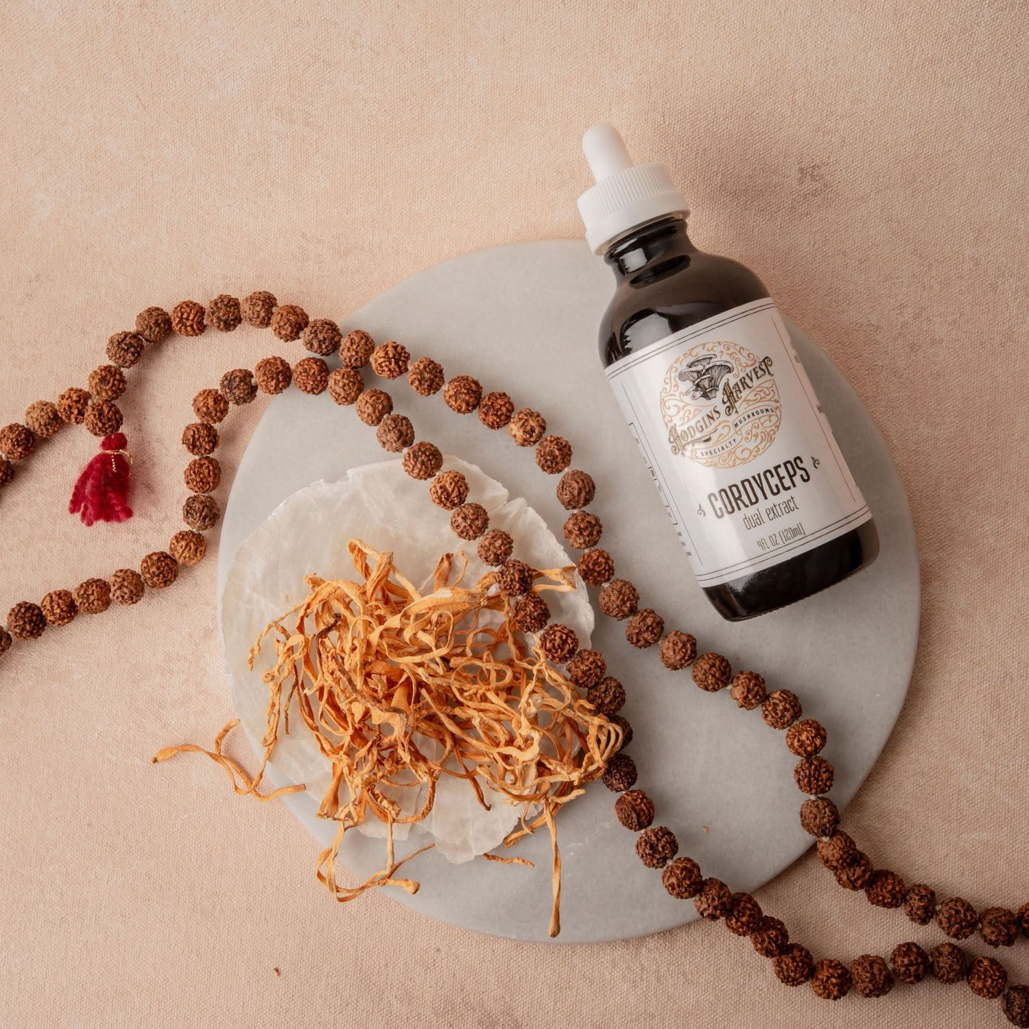 Cordyceps Dual Extract Tincture - My American Goods