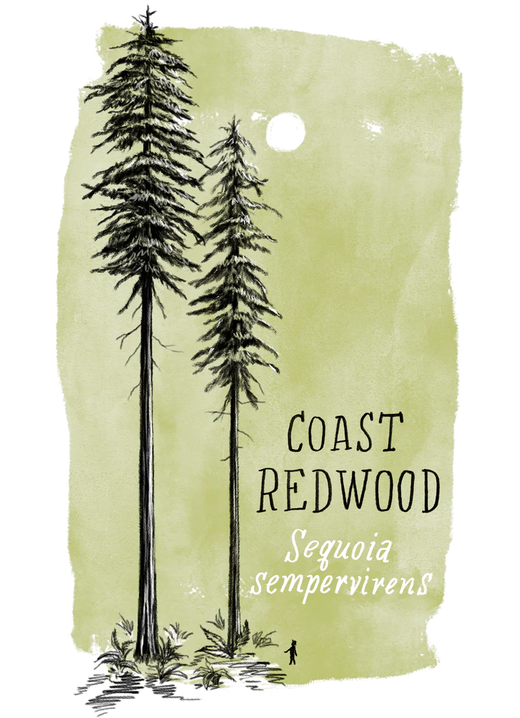 Big Trees of California