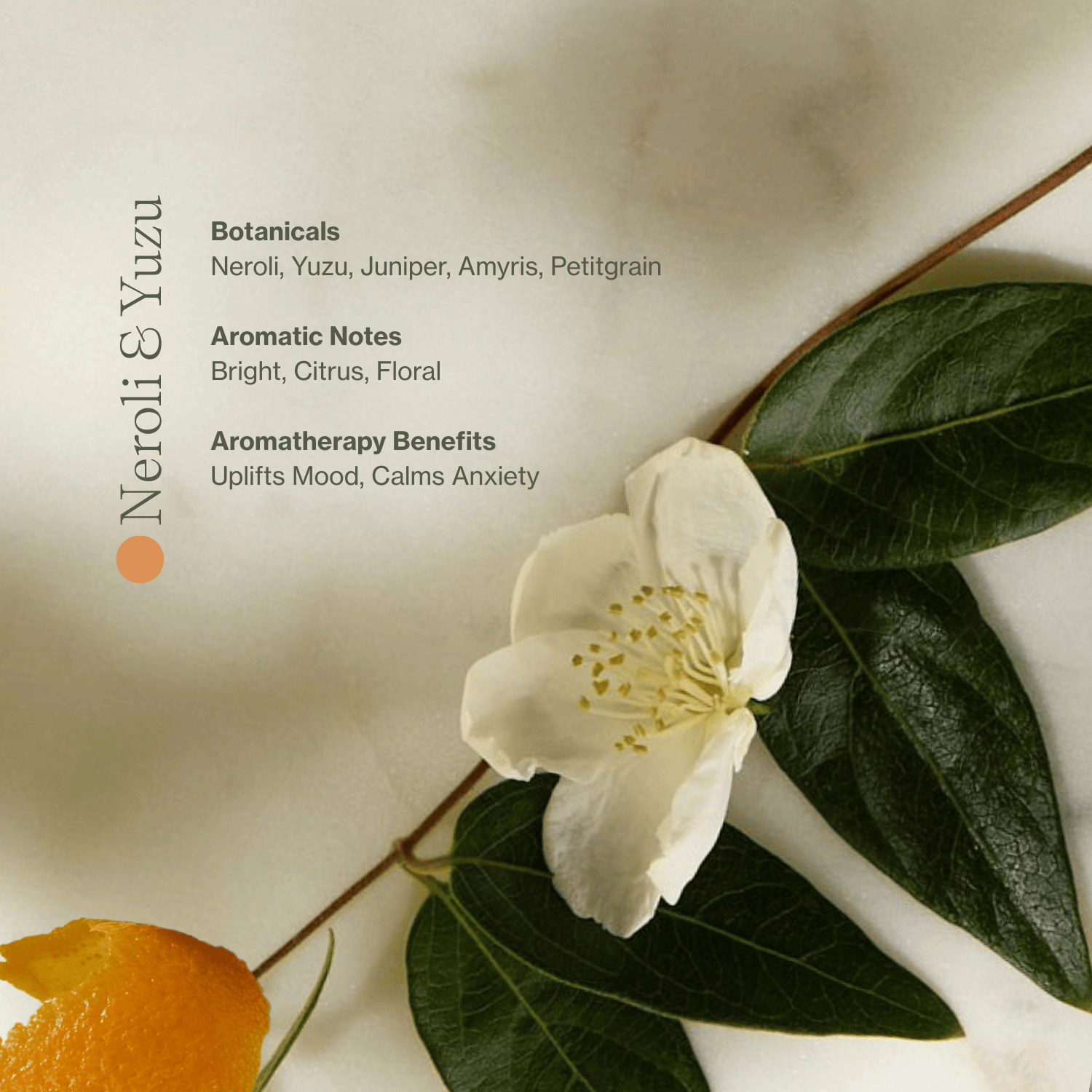 Apoterra Bath + Body Vitamin C Body Oil