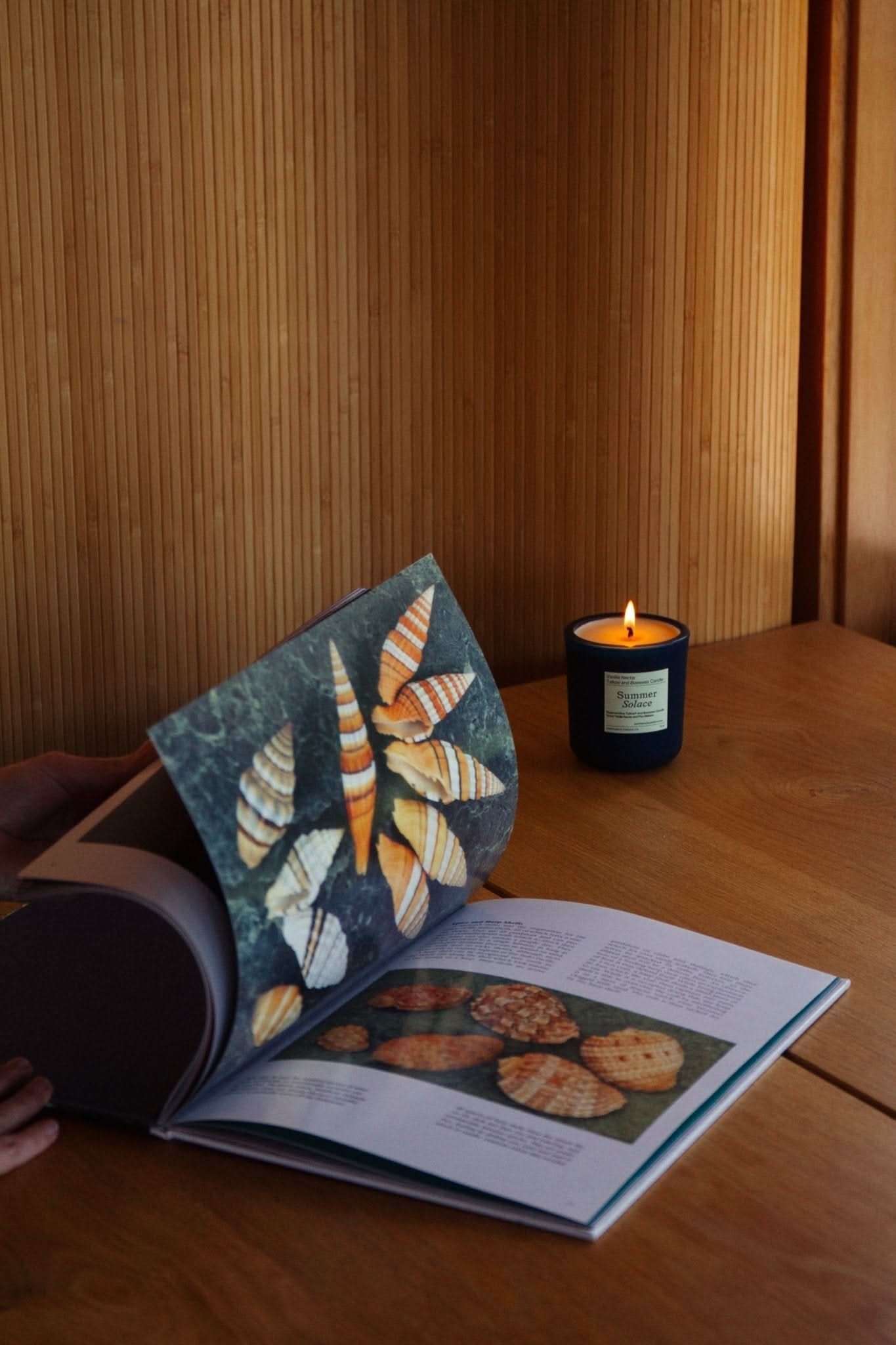 Vanilla Nectar – Tallow & Beeswax Candle with Peru Balsam | 8.5 oz - My American Goods