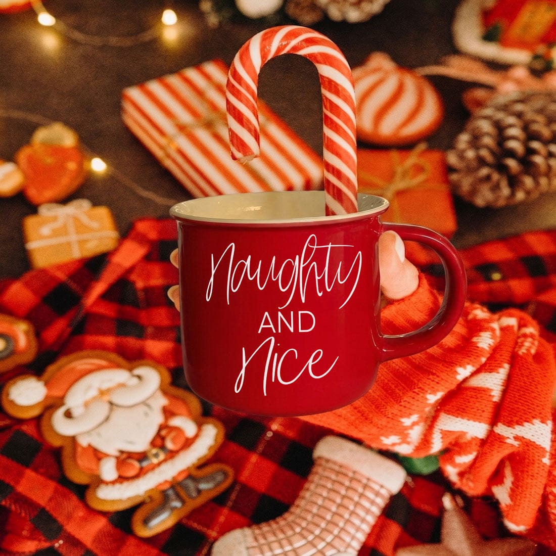 Gia Roma Coffee Mug, Naughty & Nice Mug