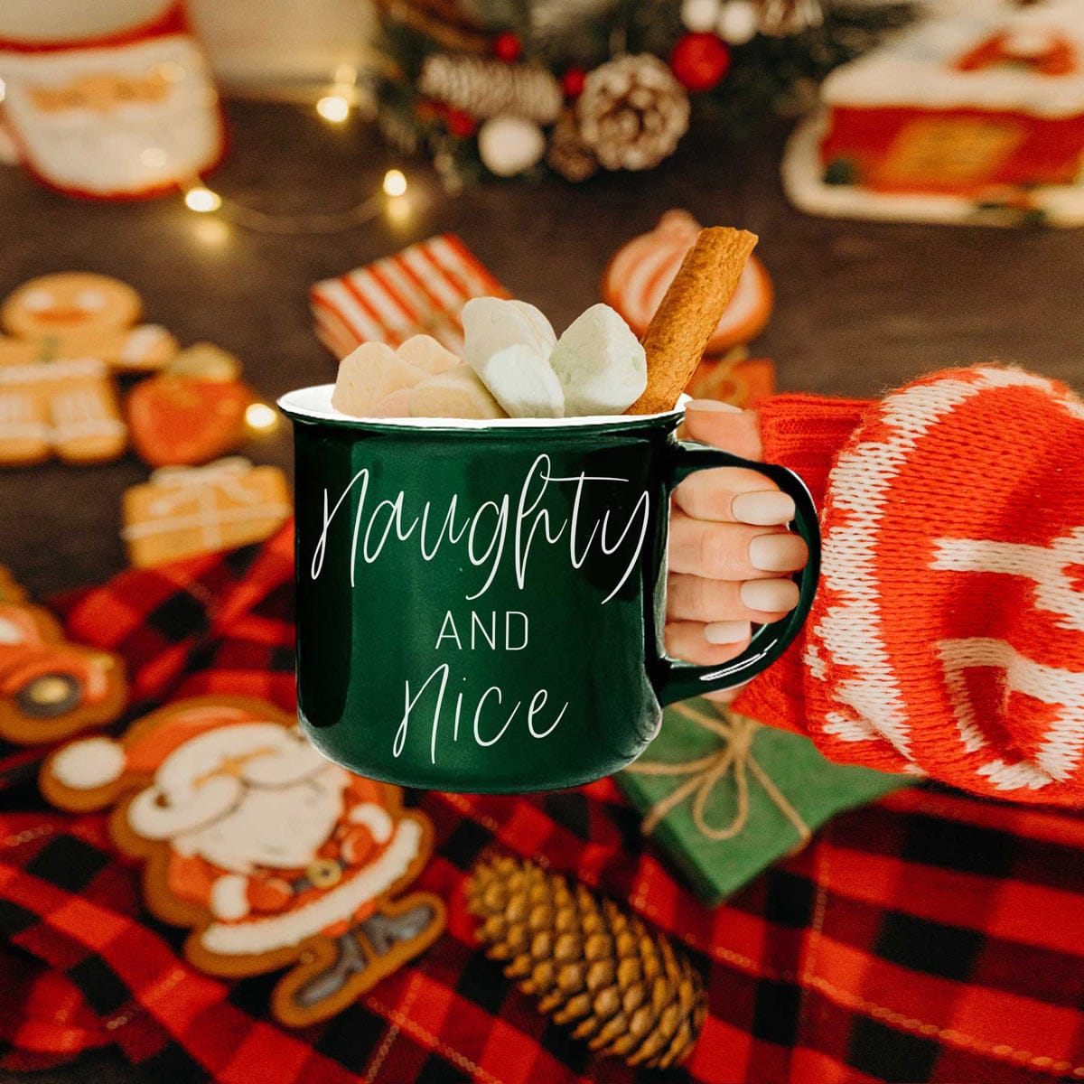 Naughty & Nice Mug - My American Goods