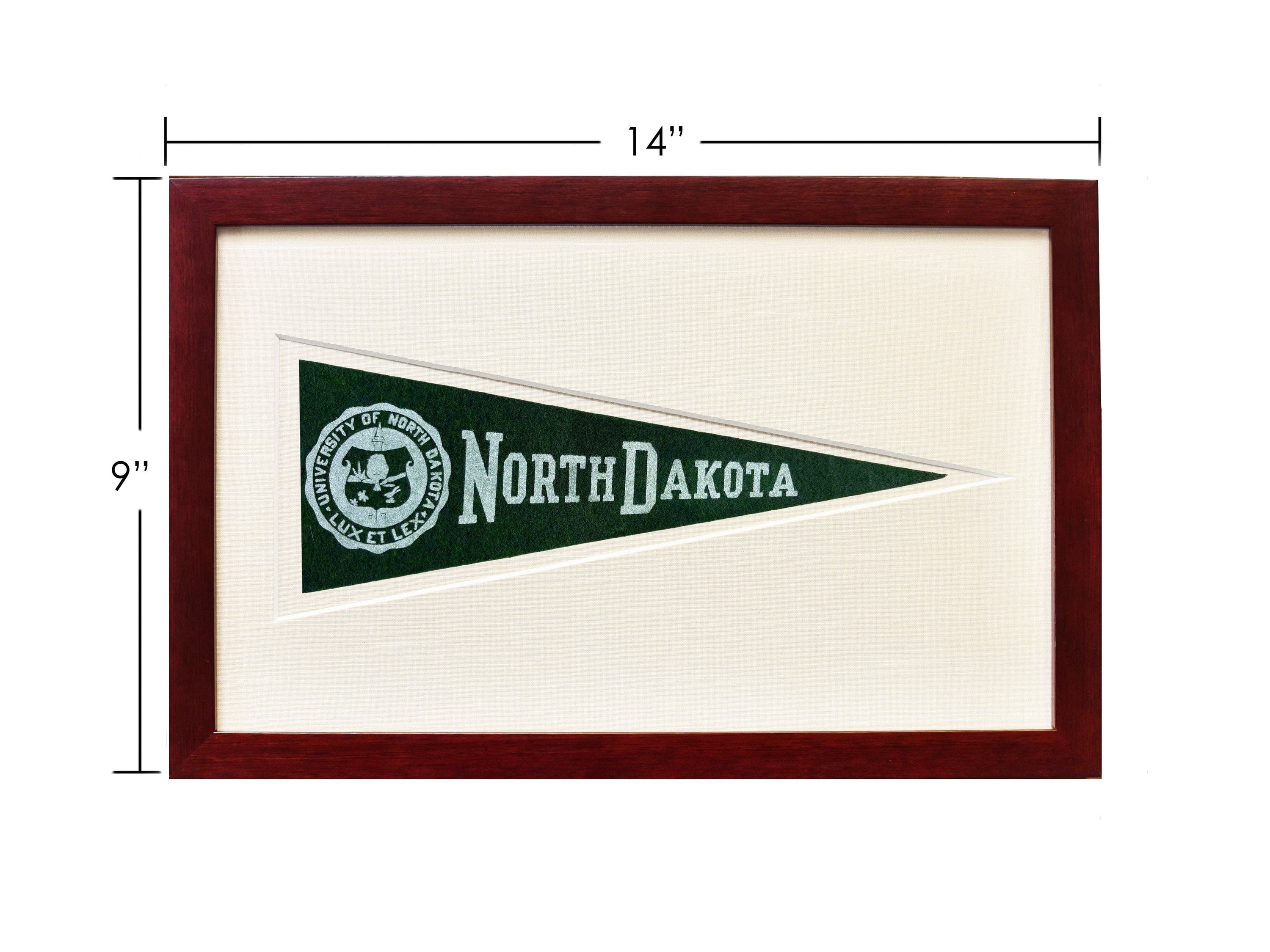 Americana Memories Vintage University of North Dakota Hormel Pennant