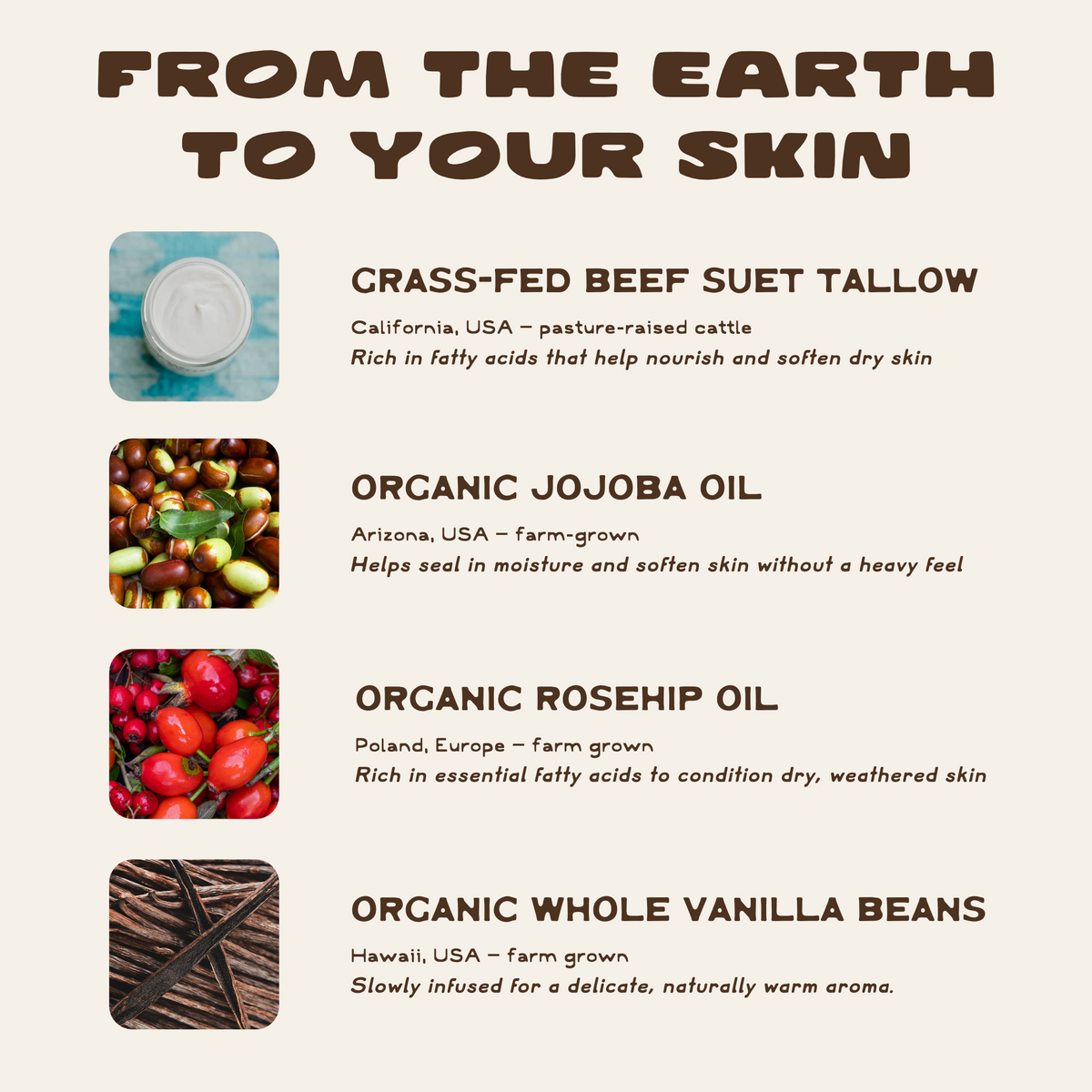 nourishing vanilla-infused tallow cream