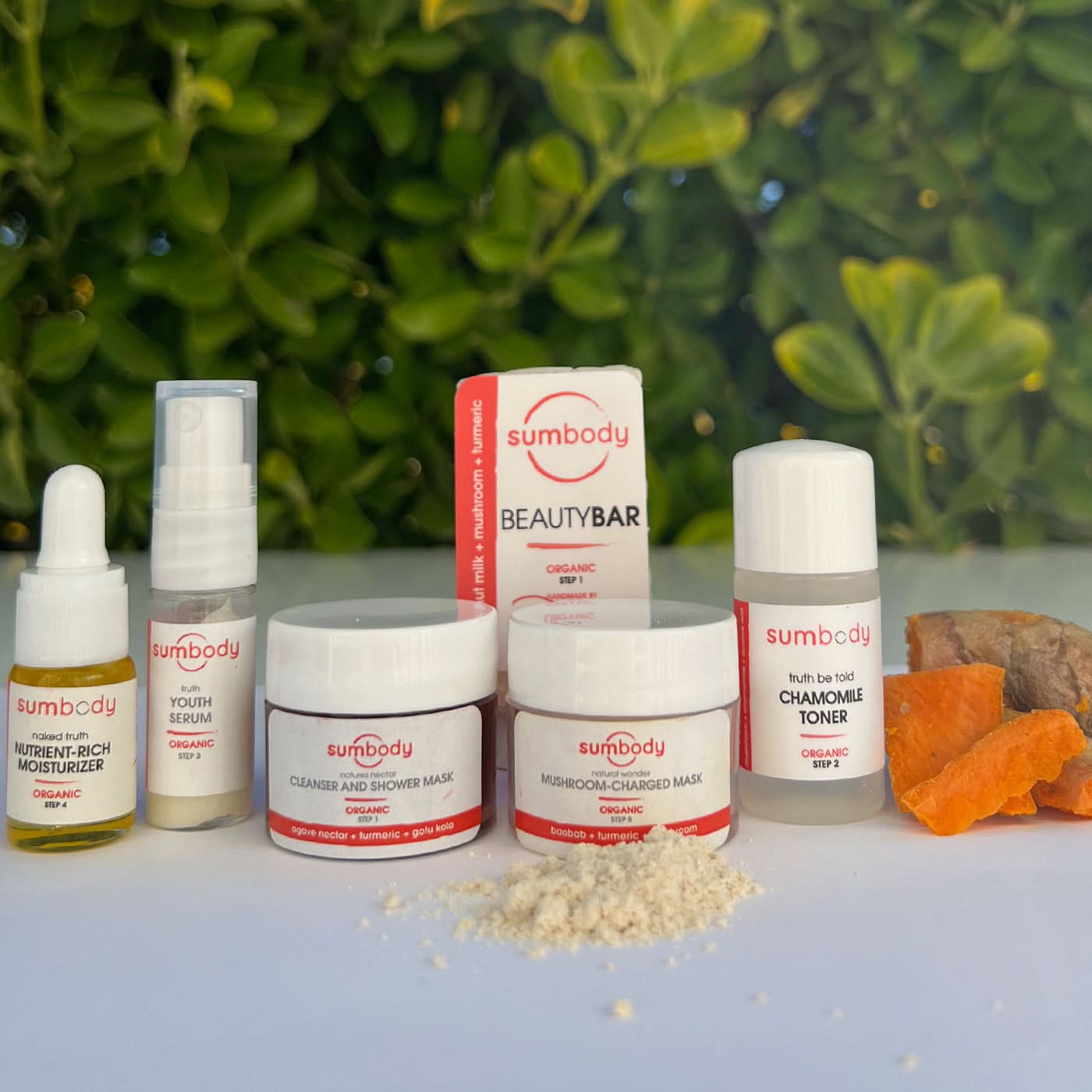 5 Steps to Perfect Skin Organic Mini Kit - My American Goods