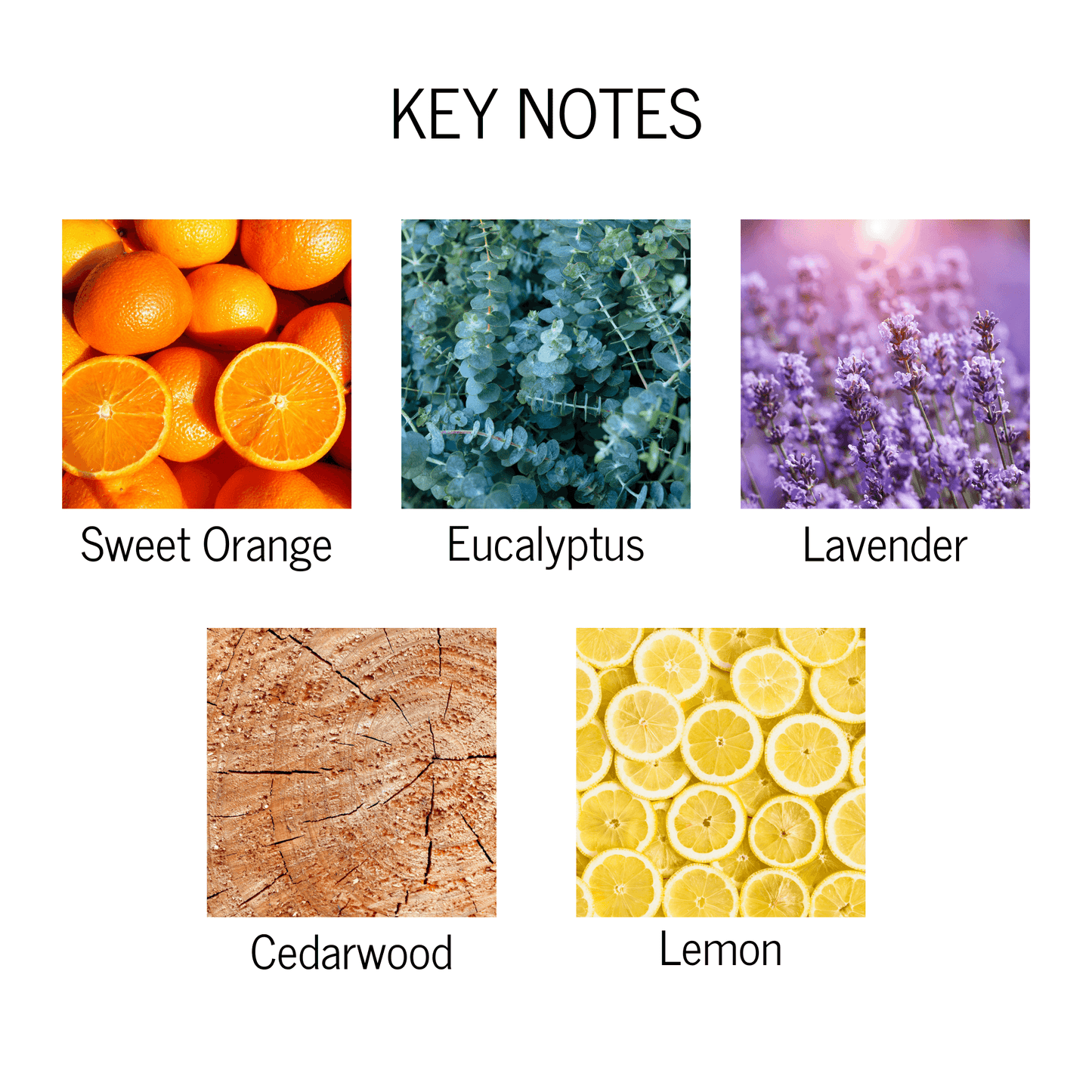 Cedarwood and Lavender Scented Candle - My American Goods