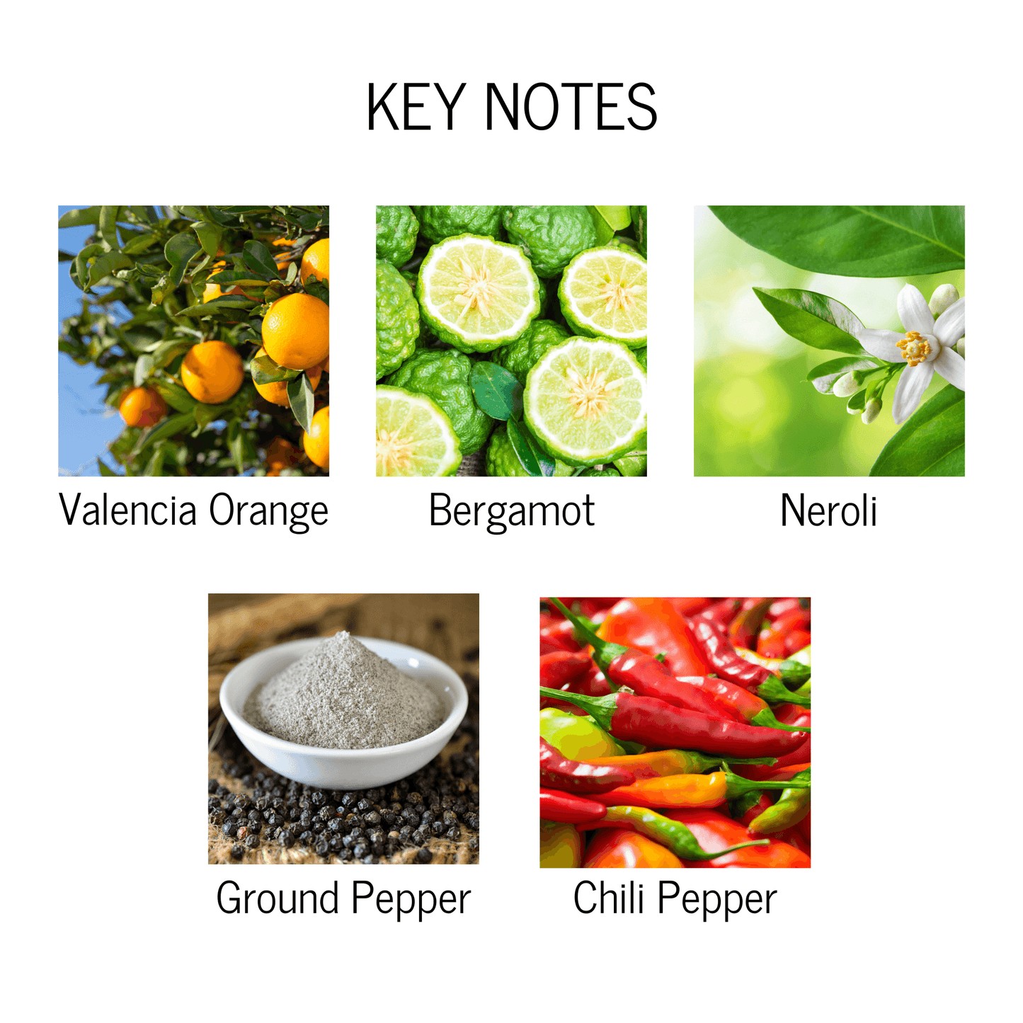 Pepper and Orange Scented Candle - My American Goods