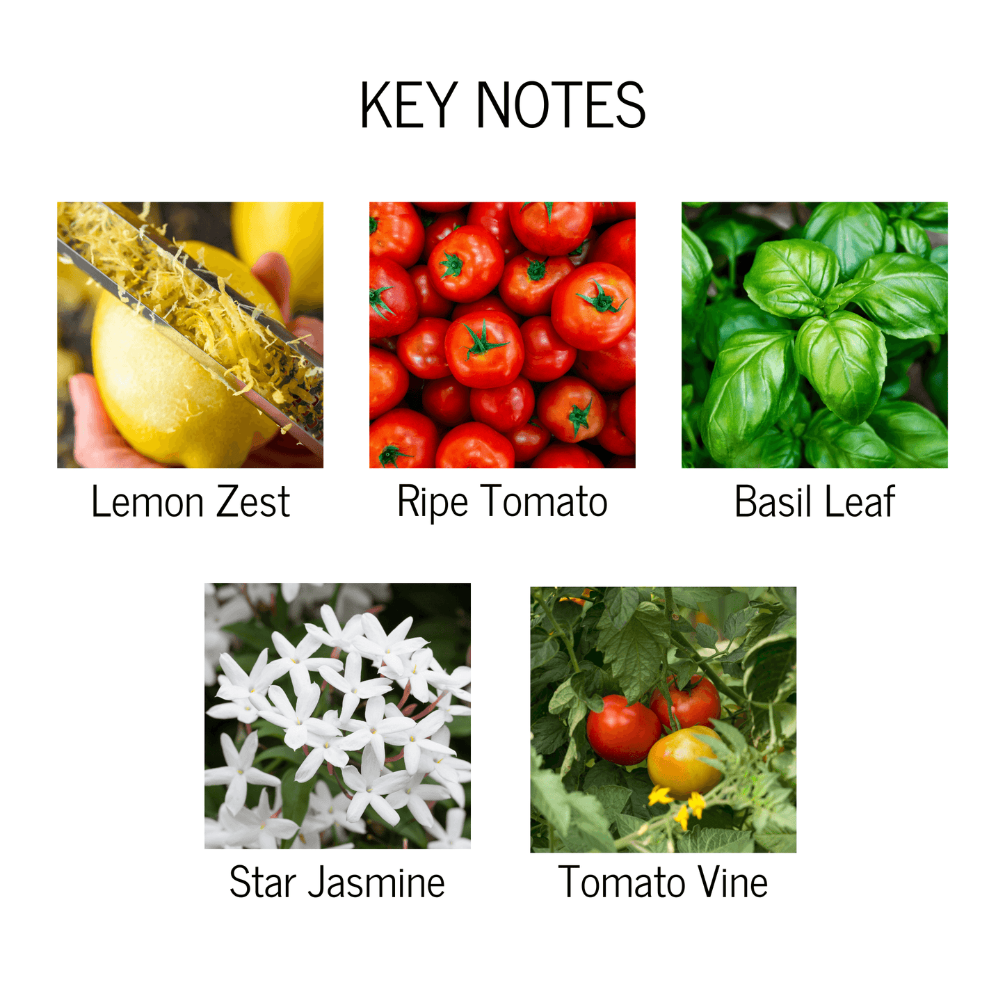 Tomato Vine Scented Candle - My American Goods