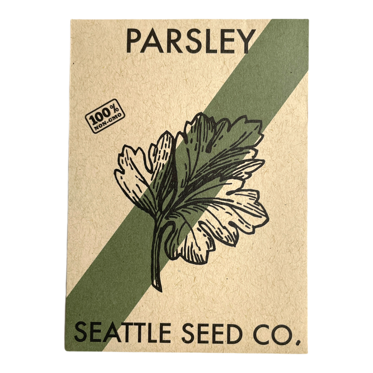 Dark Green Italian Flat Leaf Parsley Seeds