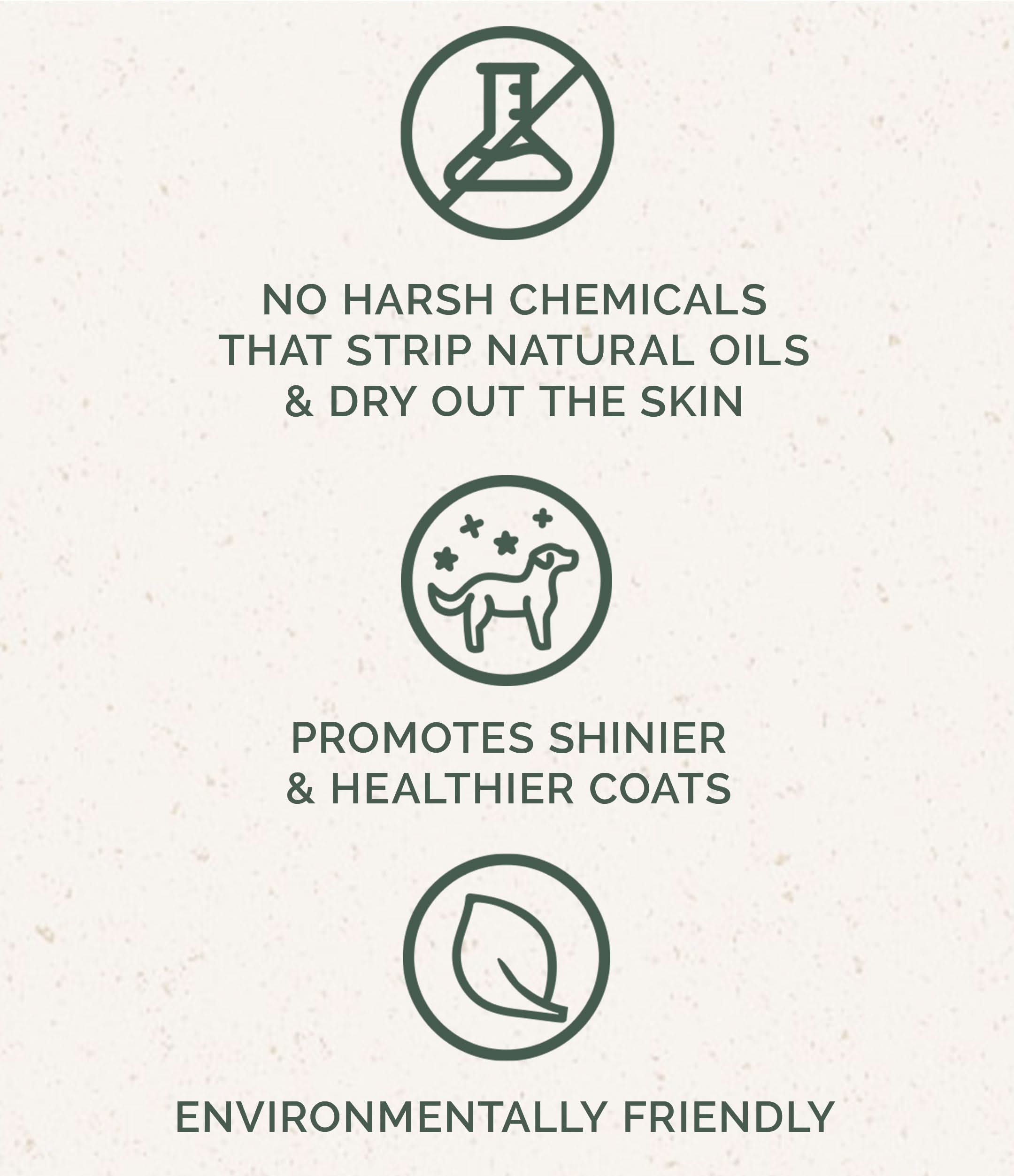 Dog Shampoo: Cedarwood Lavender - My American Goods