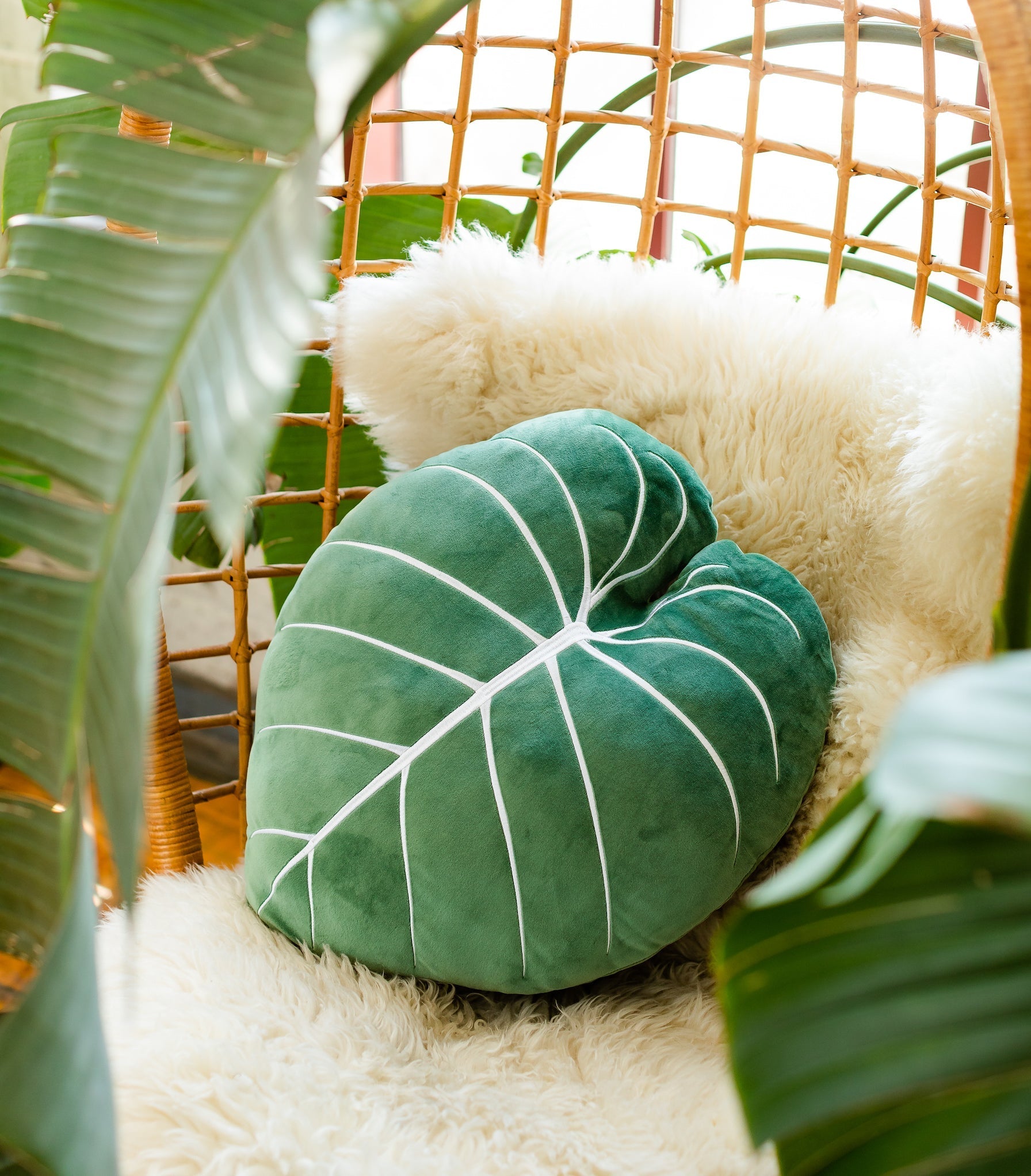 Philodendron Gloriosum Leaf Pillow - Moody Green - My American Goods
