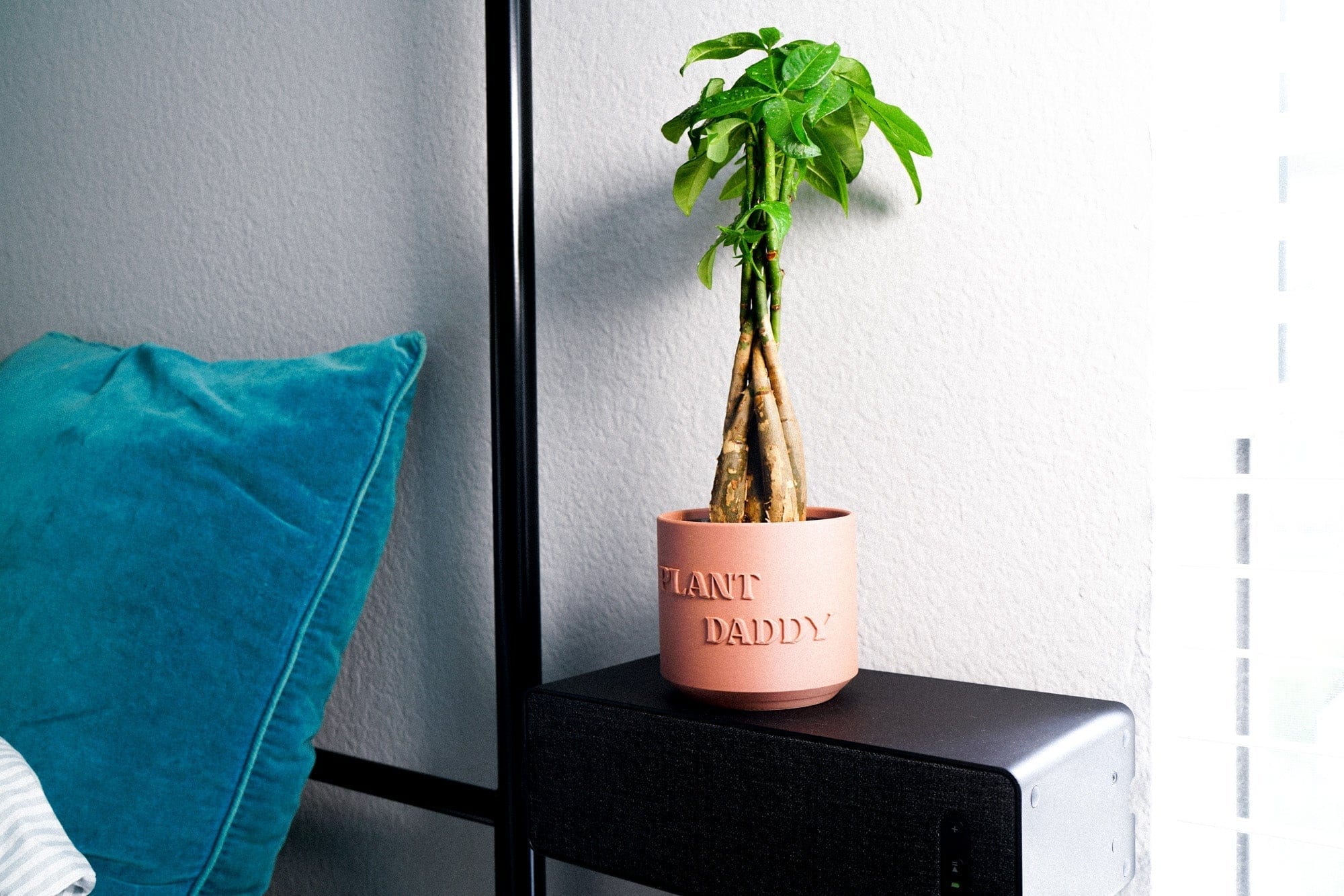 Rosebud HomeGoods Pots & Planters Plant Daddy Planter