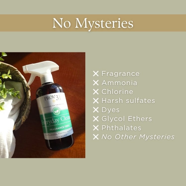 PROV 31™ Household Essentials Everyday Spray Cleaner
