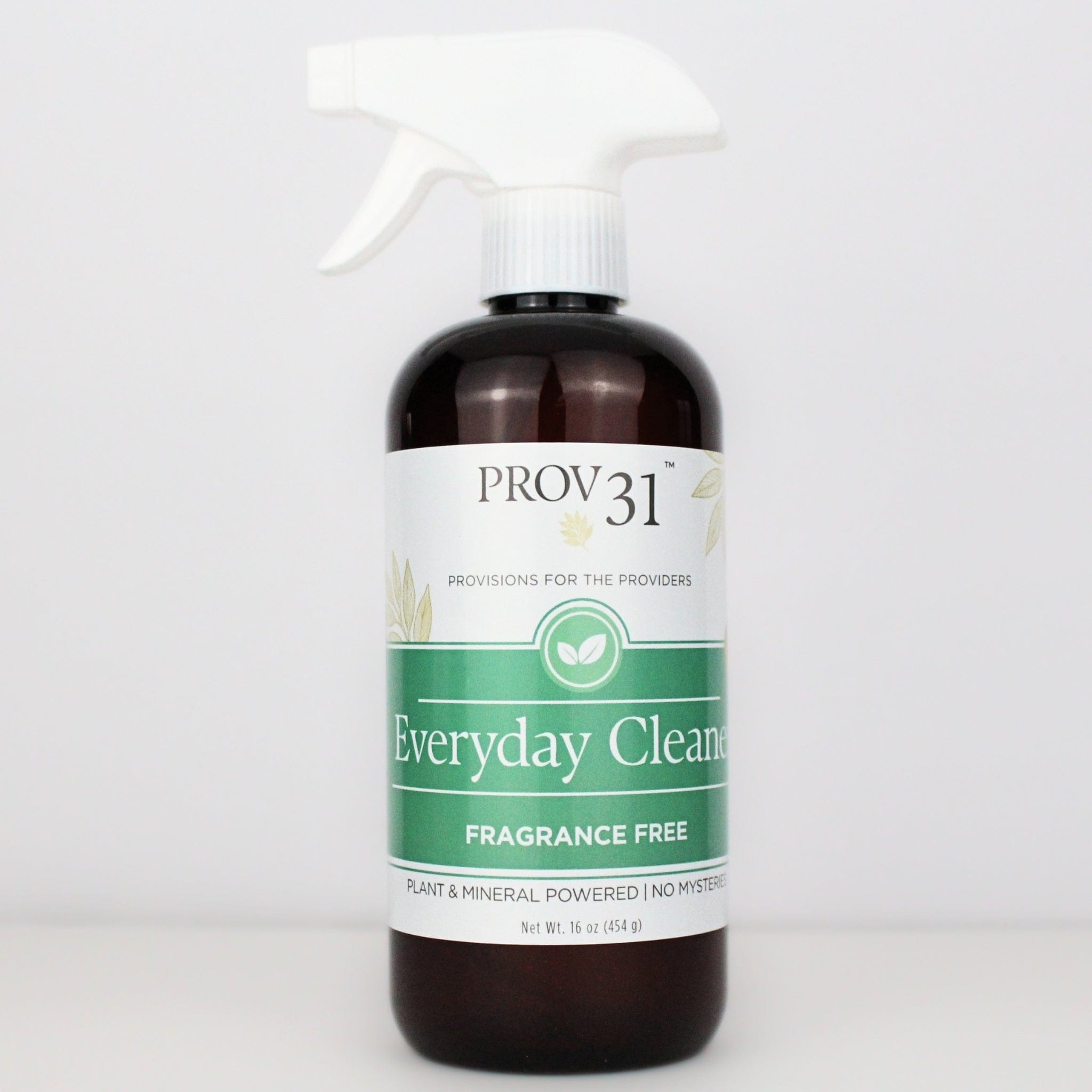 PROV 31™ Household Essentials Everyday Spray Cleaner