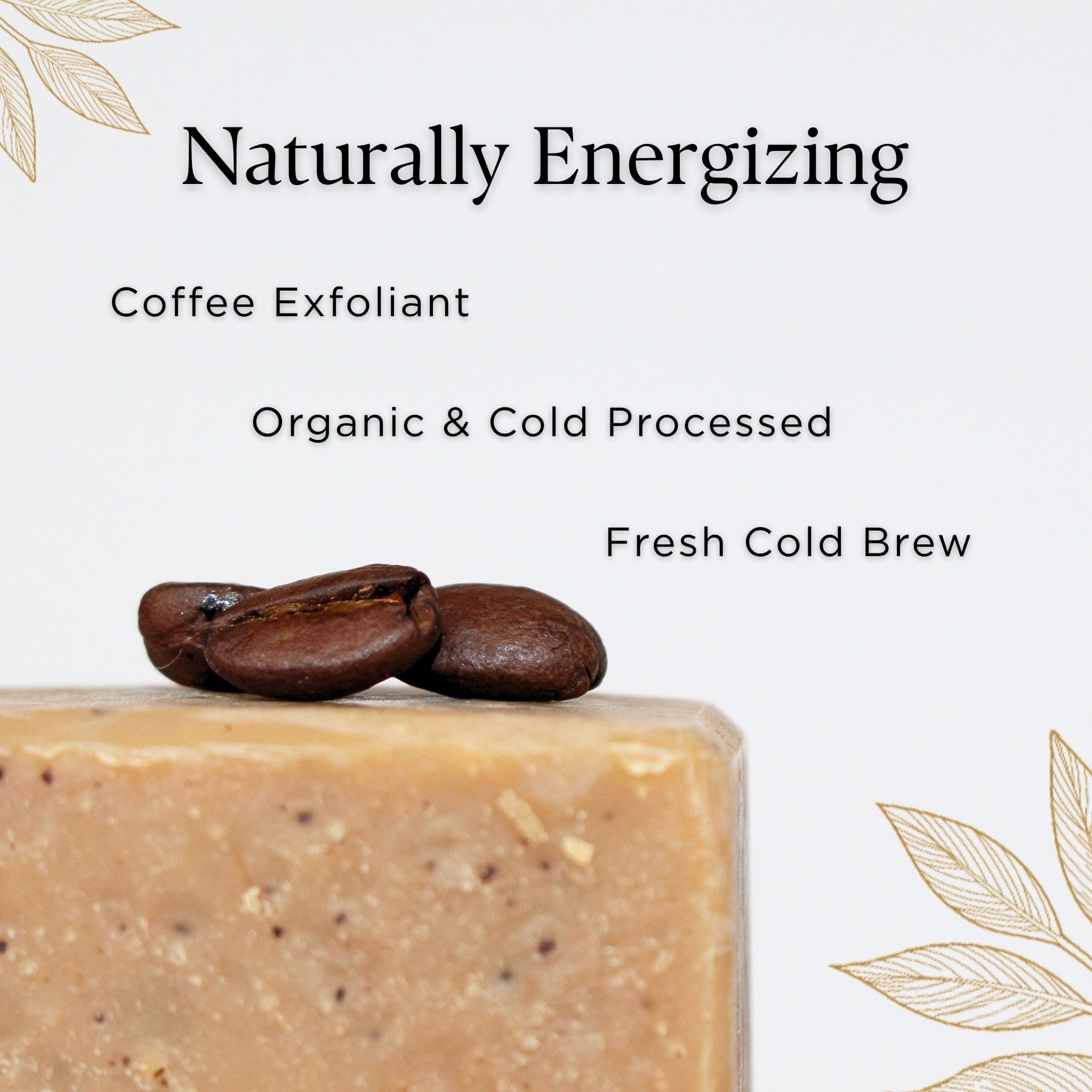 PROV 31™ Soap Bar Soap: Morning Brew