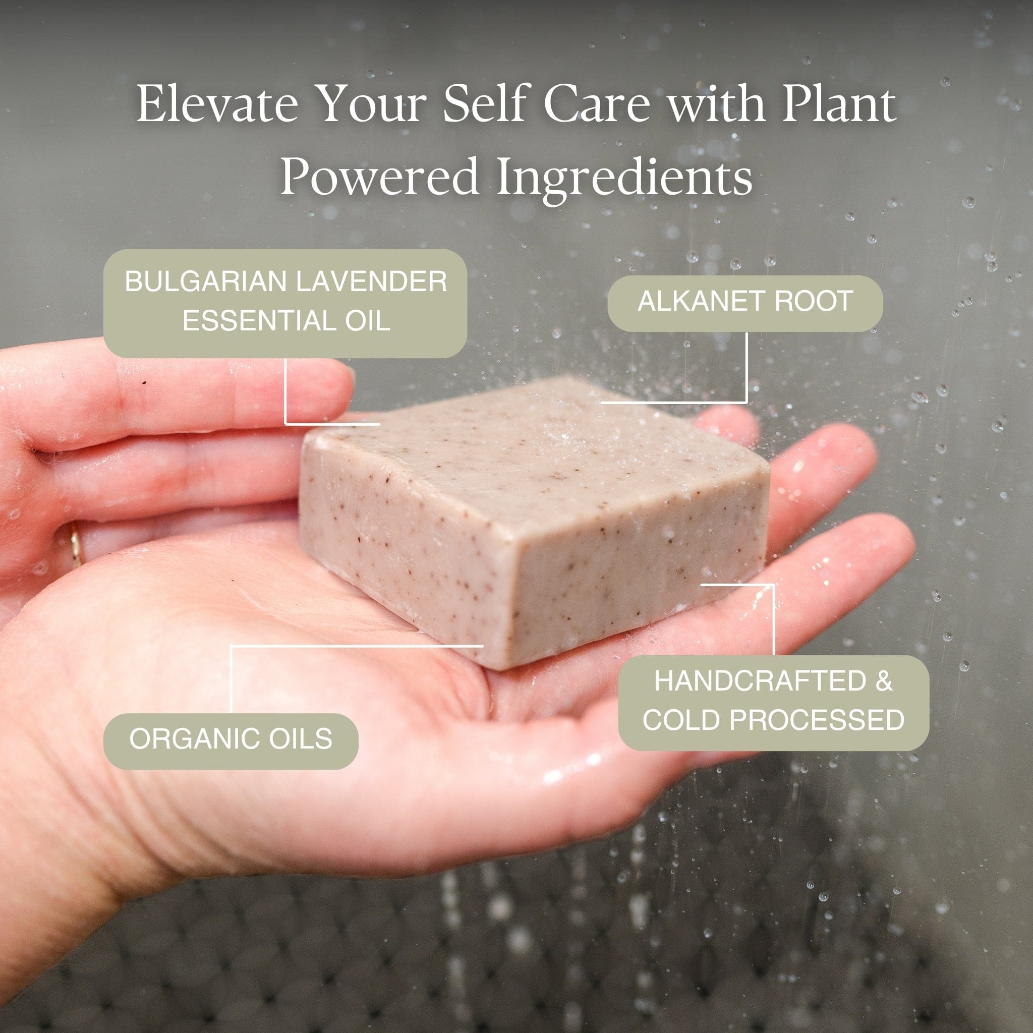 Bar Soap: Solace