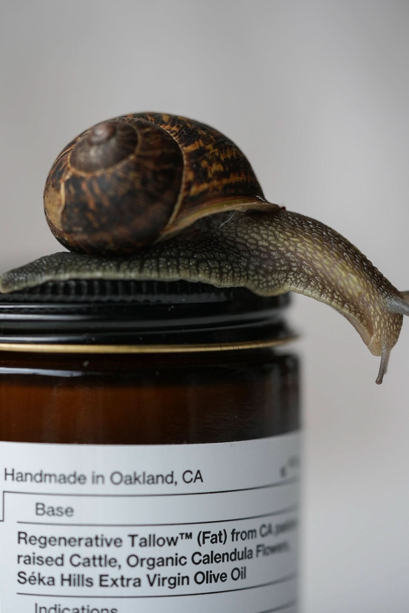 Pure Unscented – Tallow Balm | Sensitive Skin - My American Goods