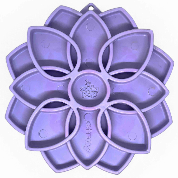 Mandala Softie eTray Shallow Slow Feeder Dog Bowl with Suction Cups | USA Made