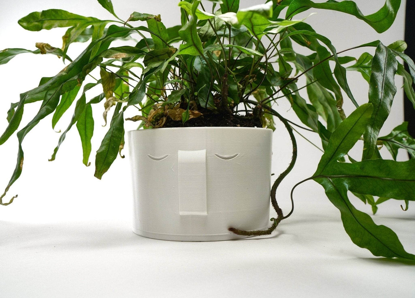Stonehenge Face Planter - My American Goods
