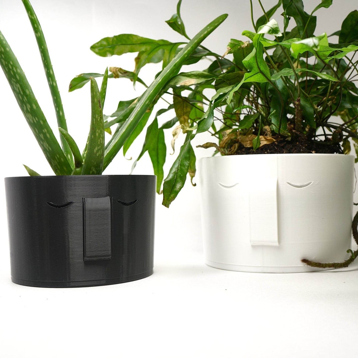 Stonehenge Face Planter - My American Goods