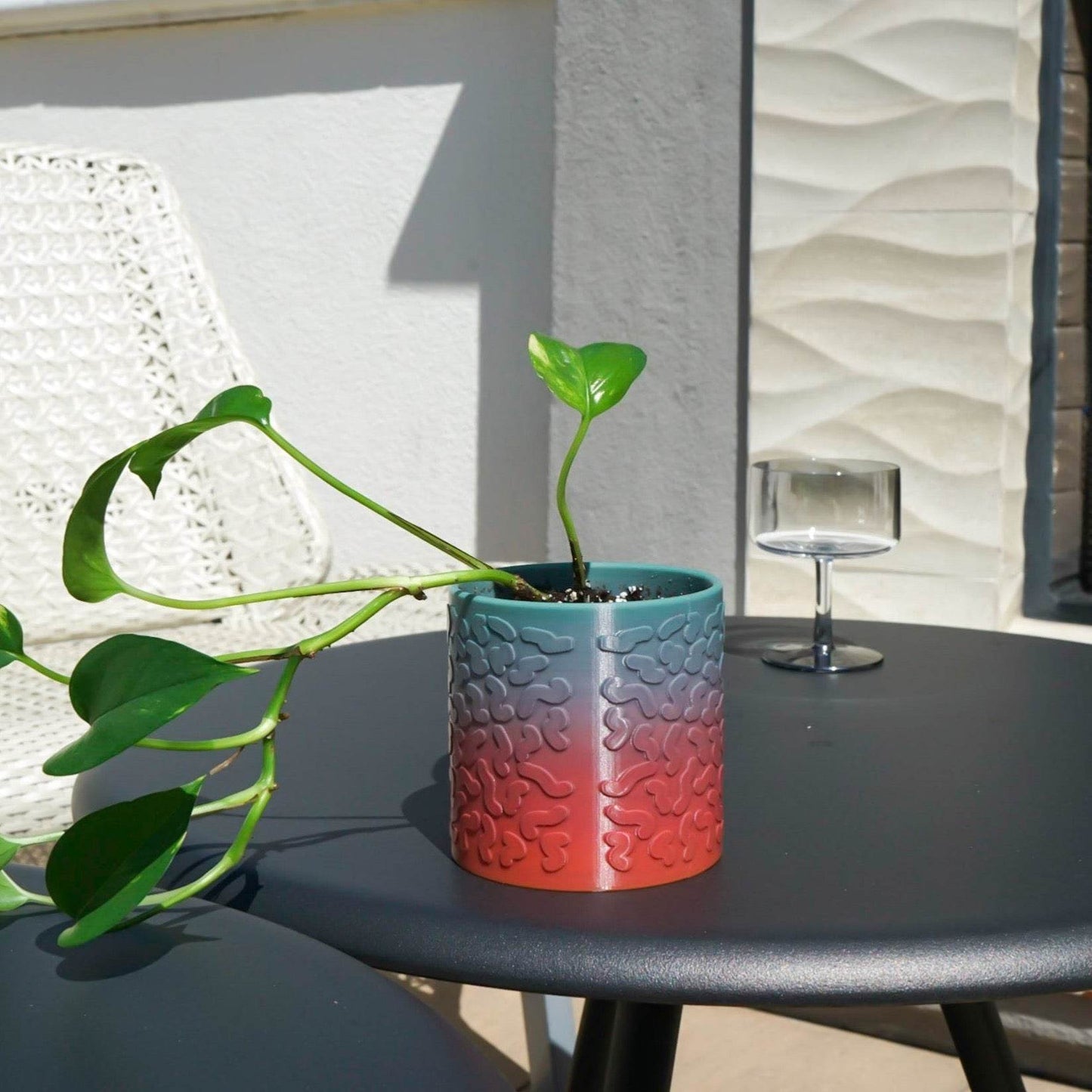 Tiny Squiggle Planter Pot - My American Goods