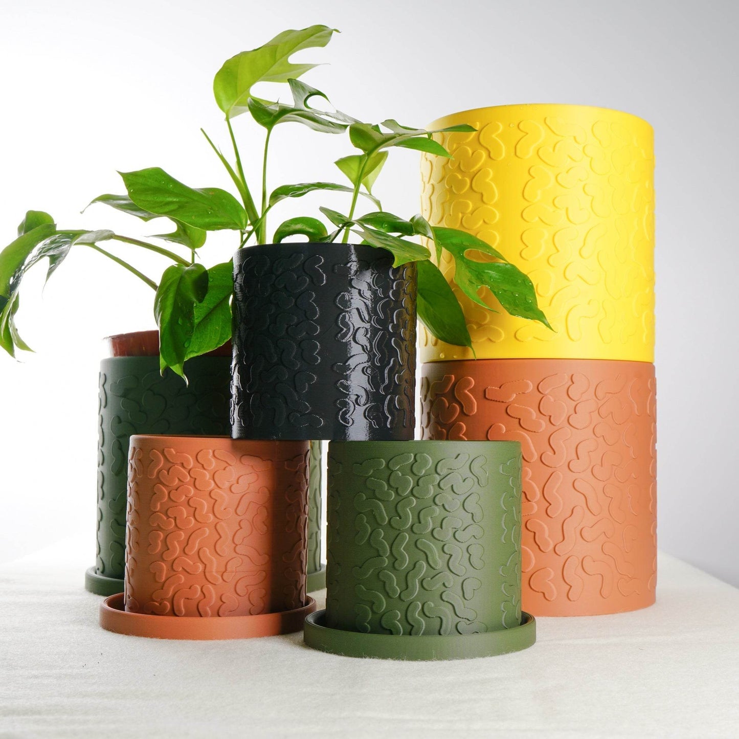 Tiny Squiggle Planter Pot - My American Goods